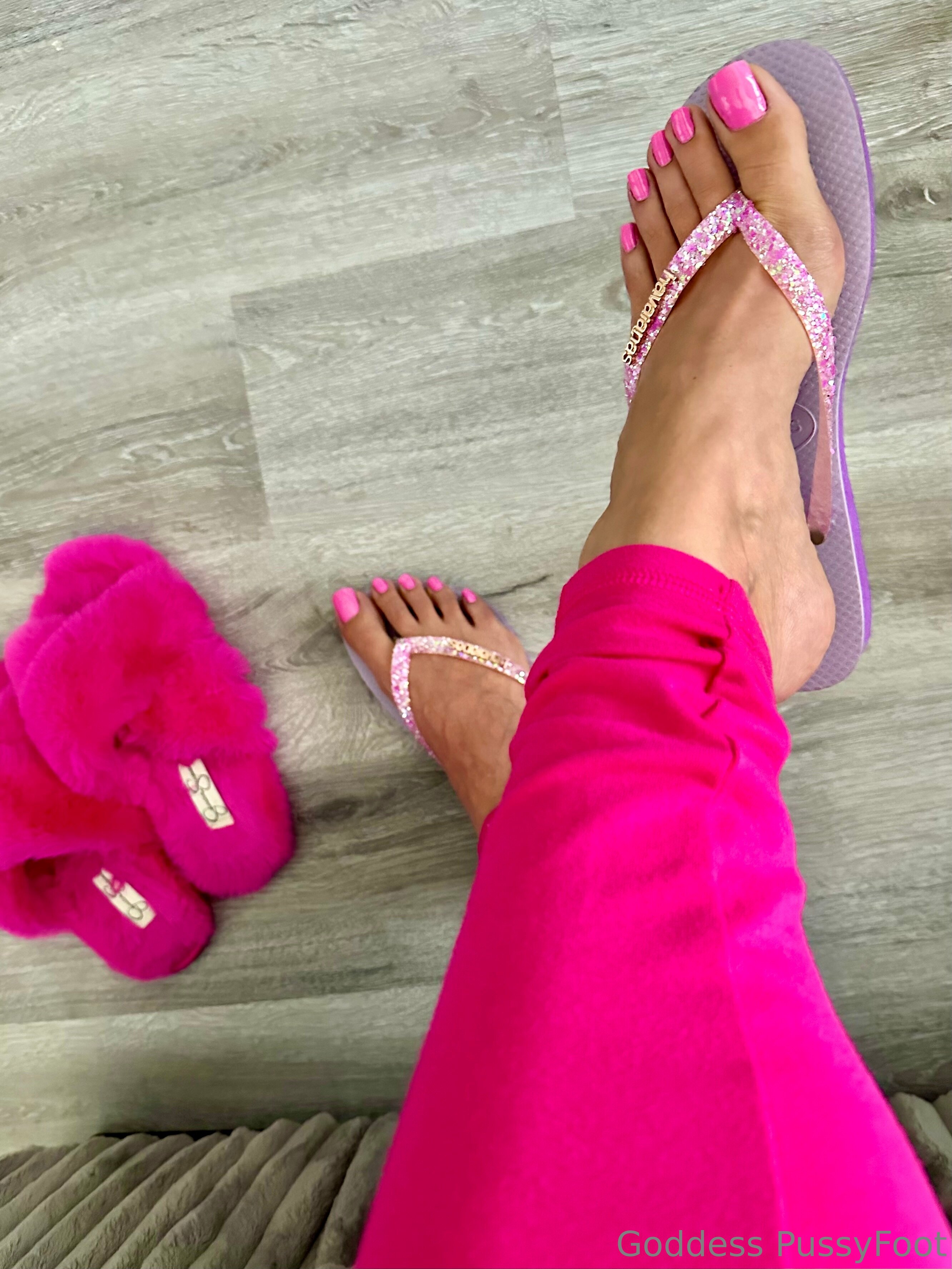 pussyfoot feet photo 16