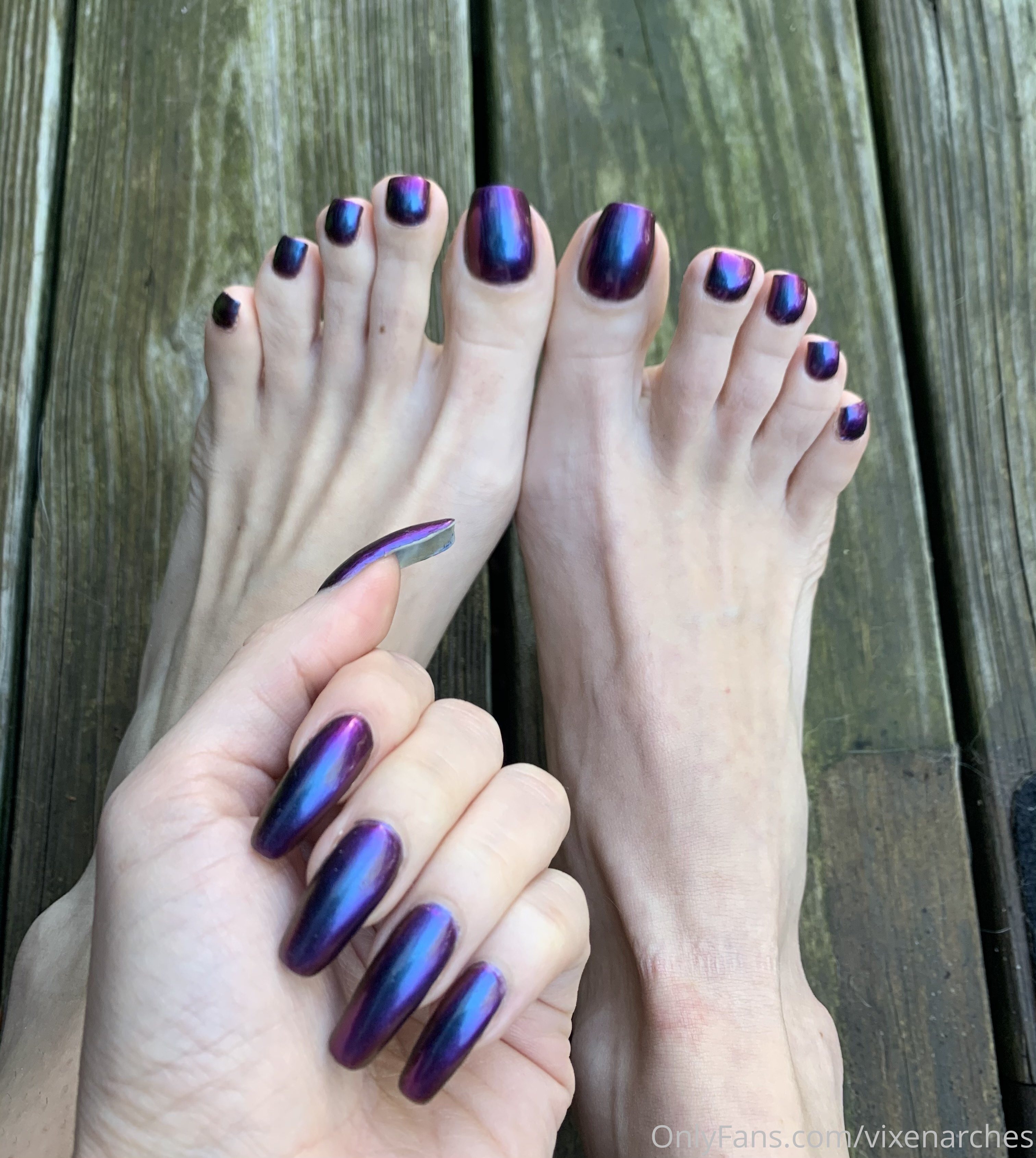 vixenarches feet photo 6