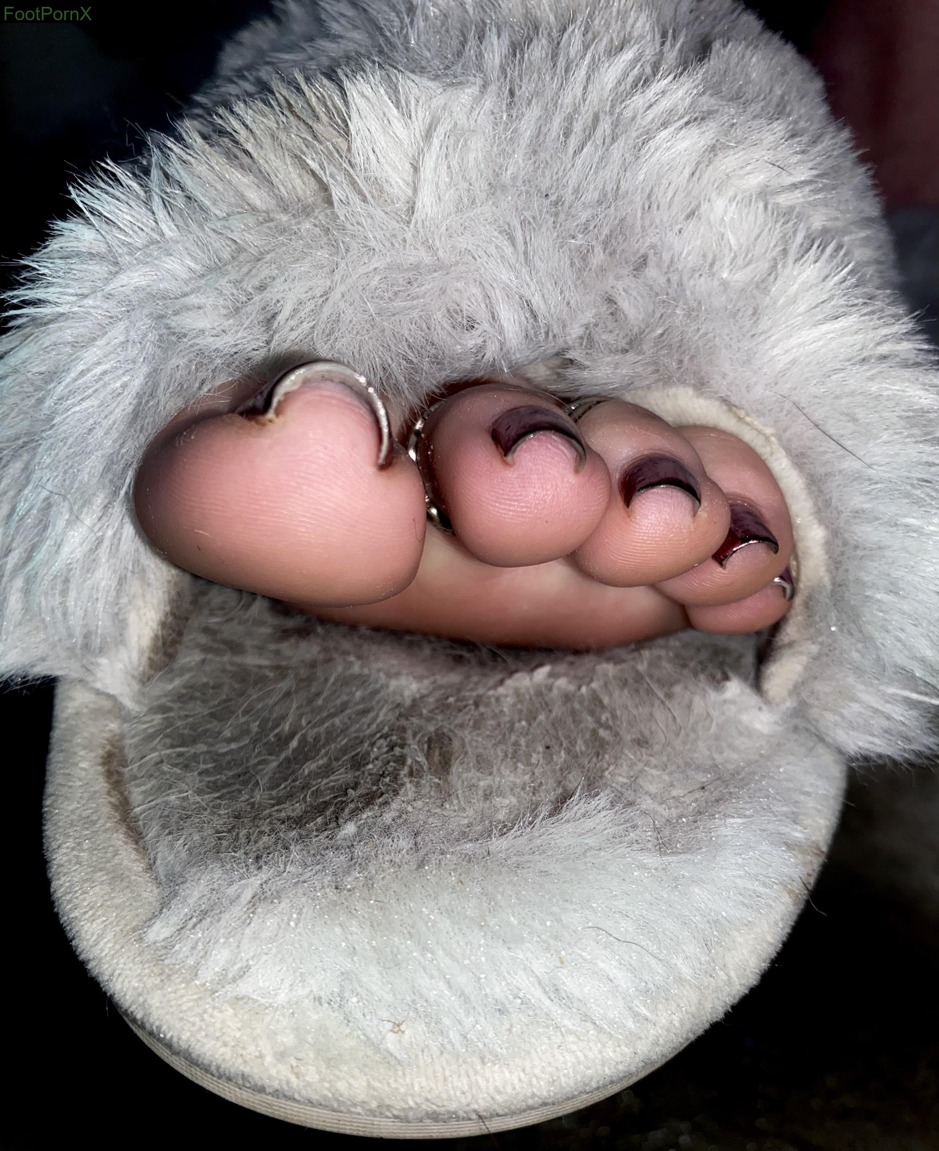toetal_vixen feet photo 11