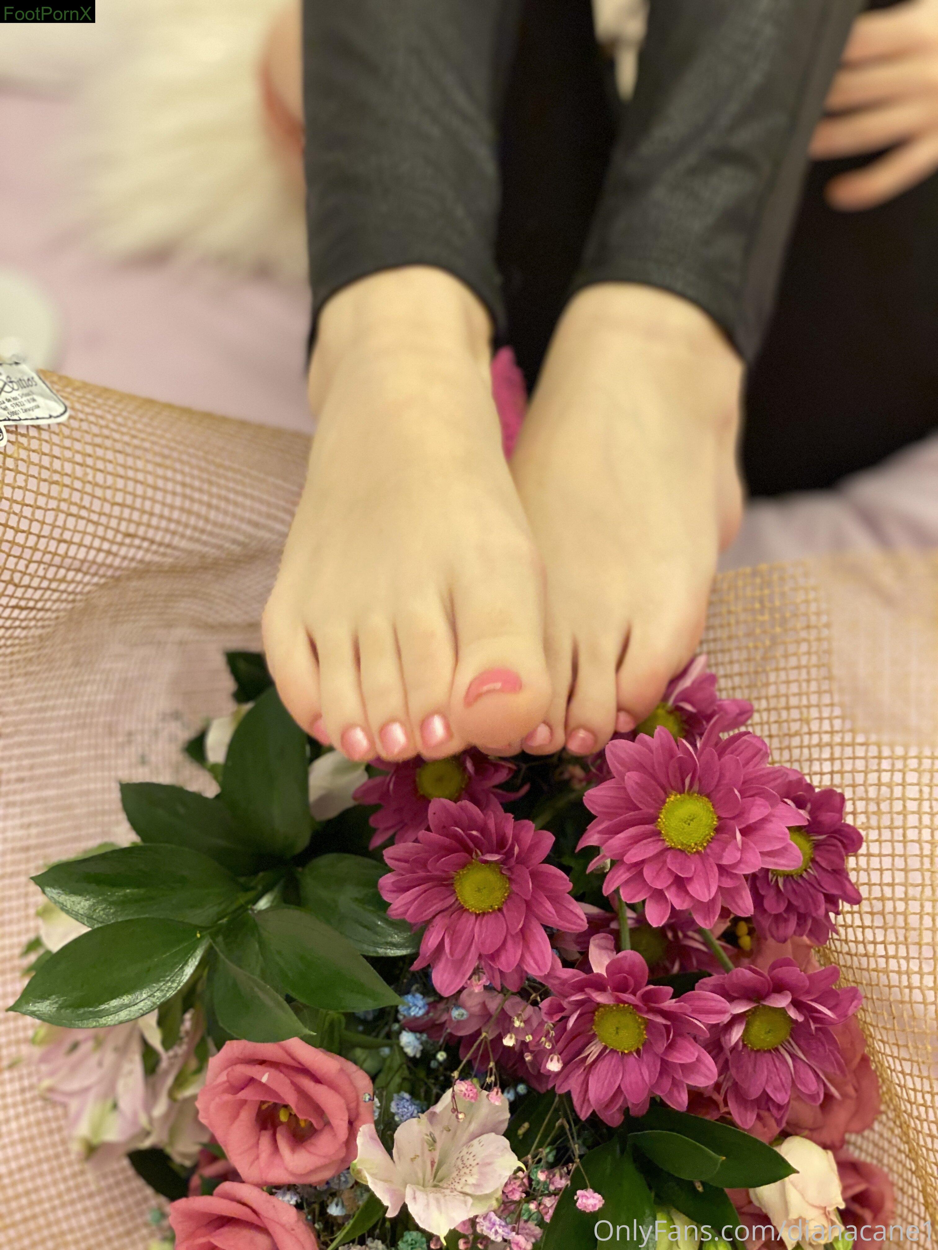 dianacane1 feet photo 20