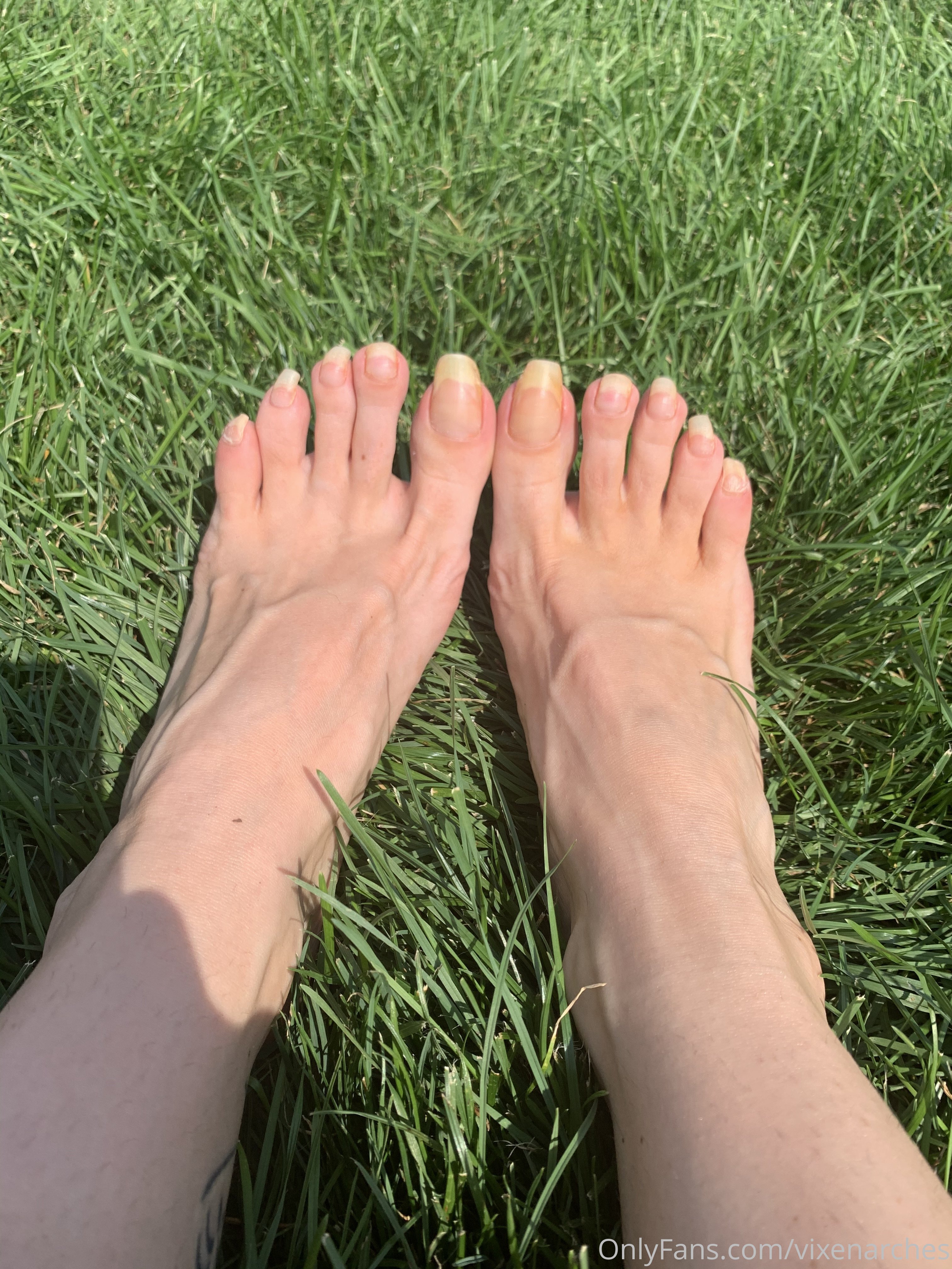 vixenarches feet photo 11