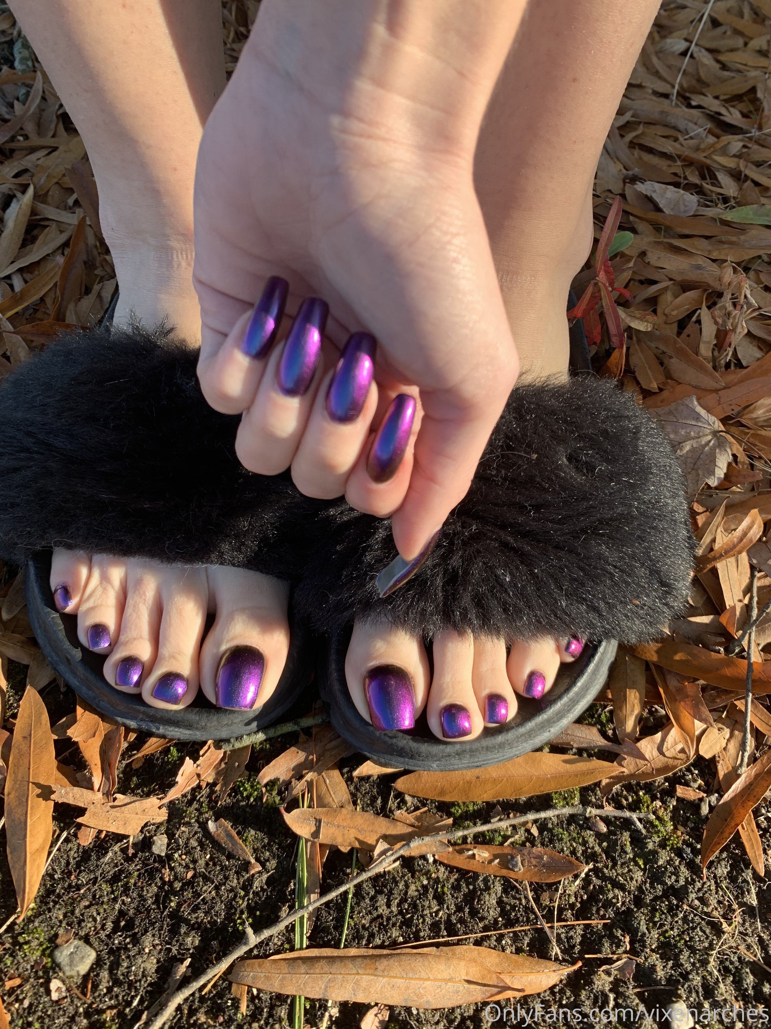vixenarches feet photo 20