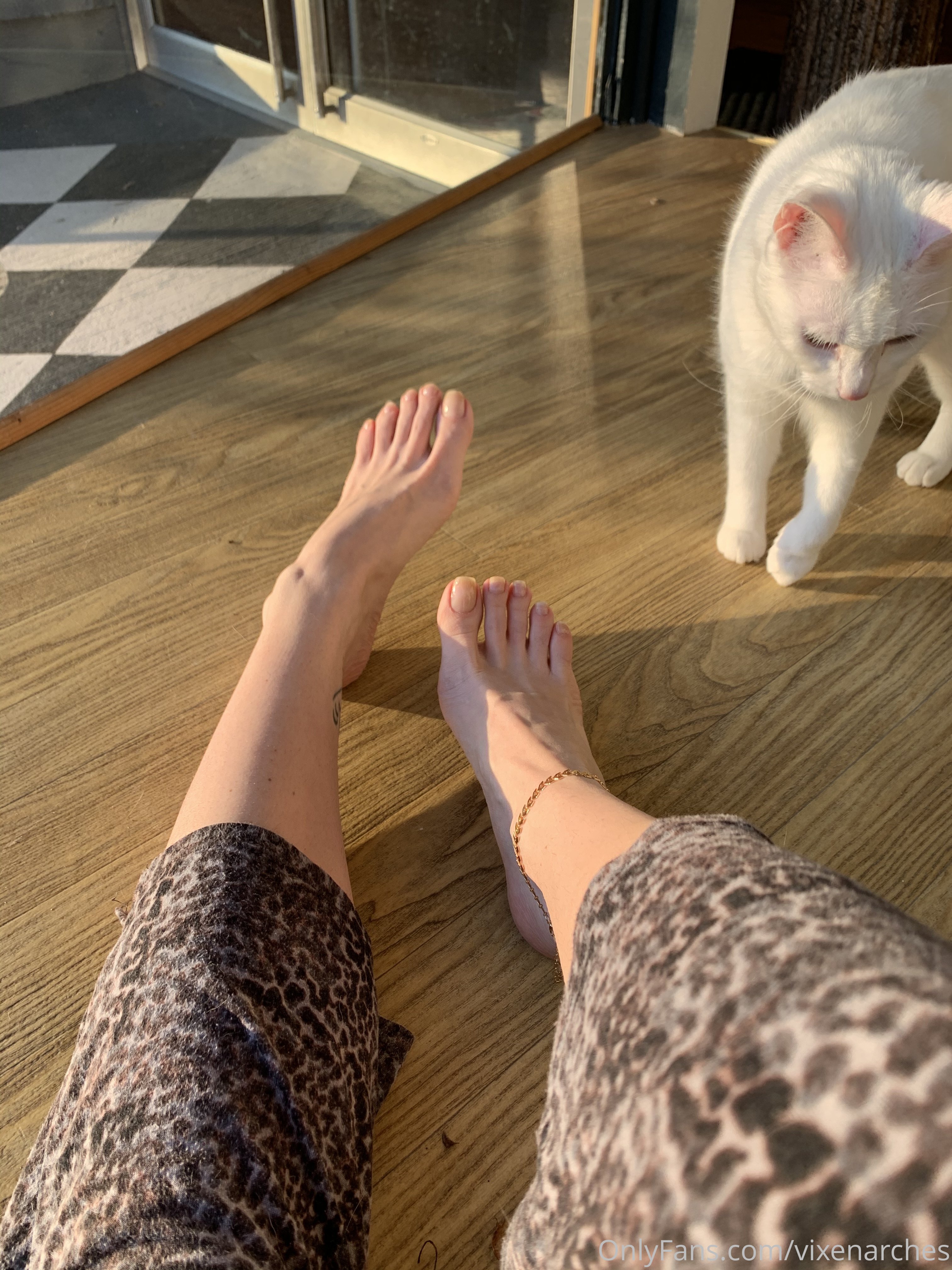 vixenarches feet photo 17