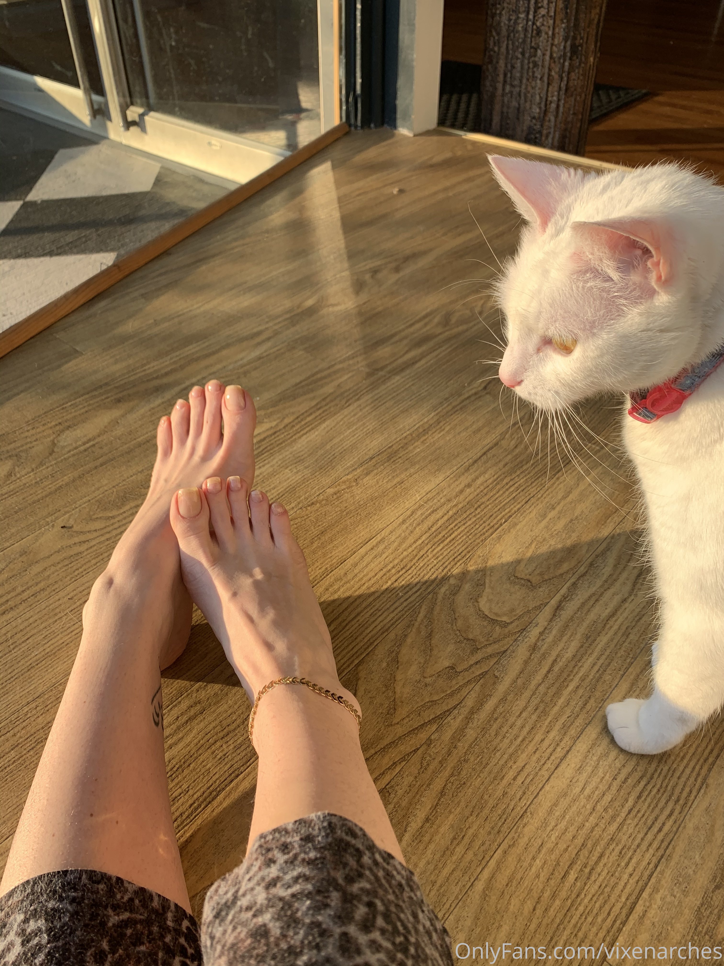 vixenarches feet photo 19