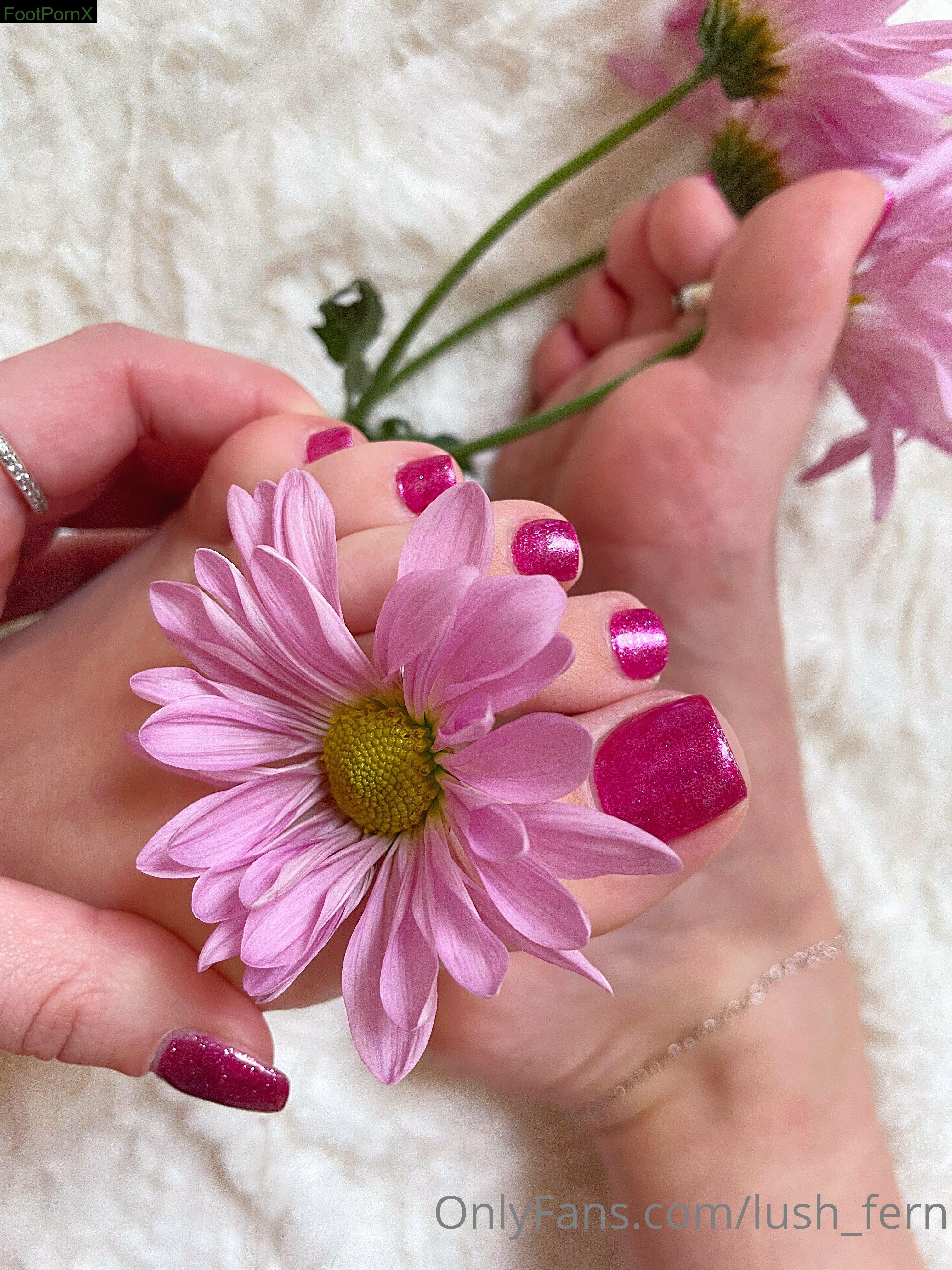 lush_fern feet photo 13