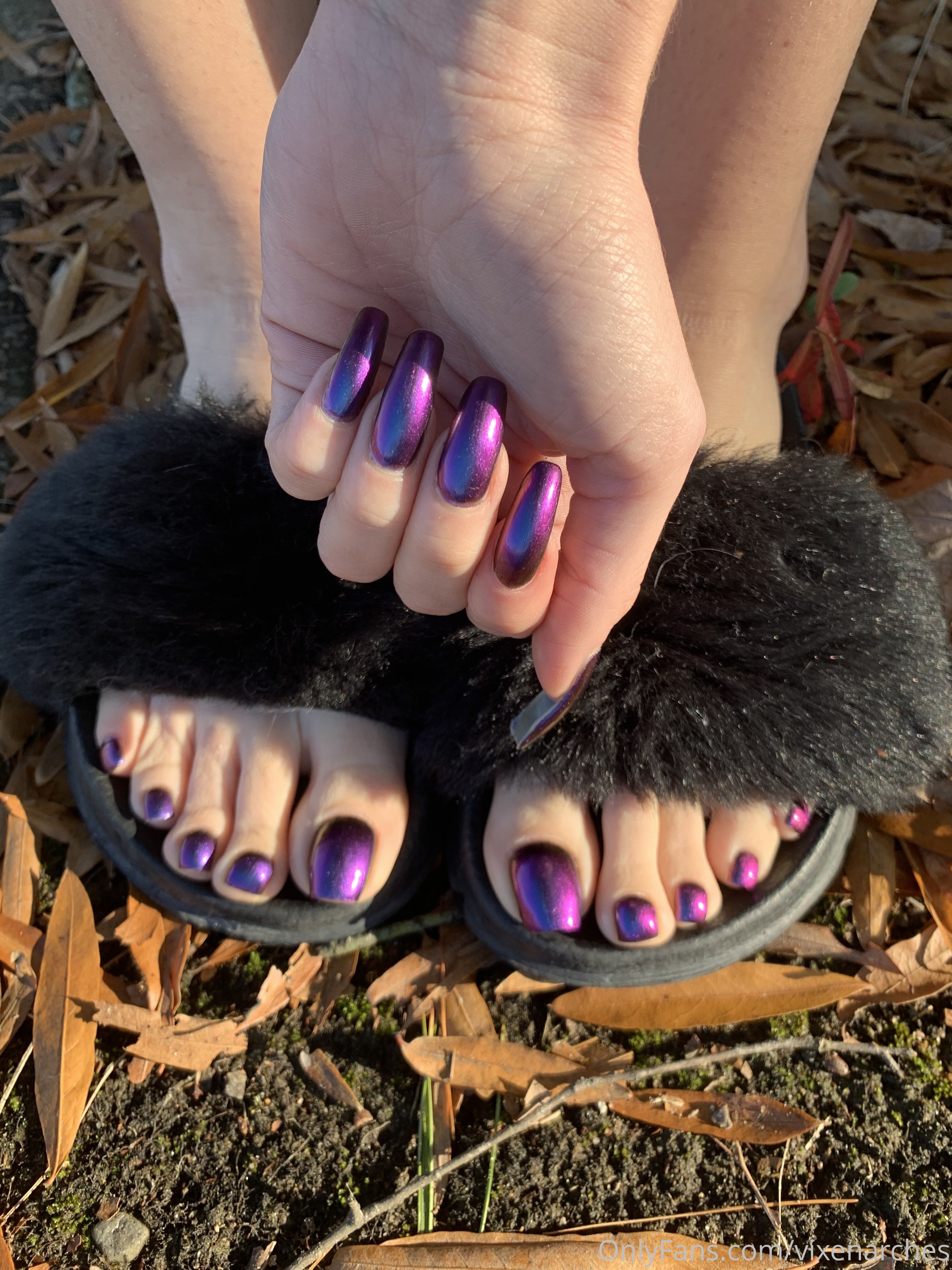 vixenarches feet photo 10