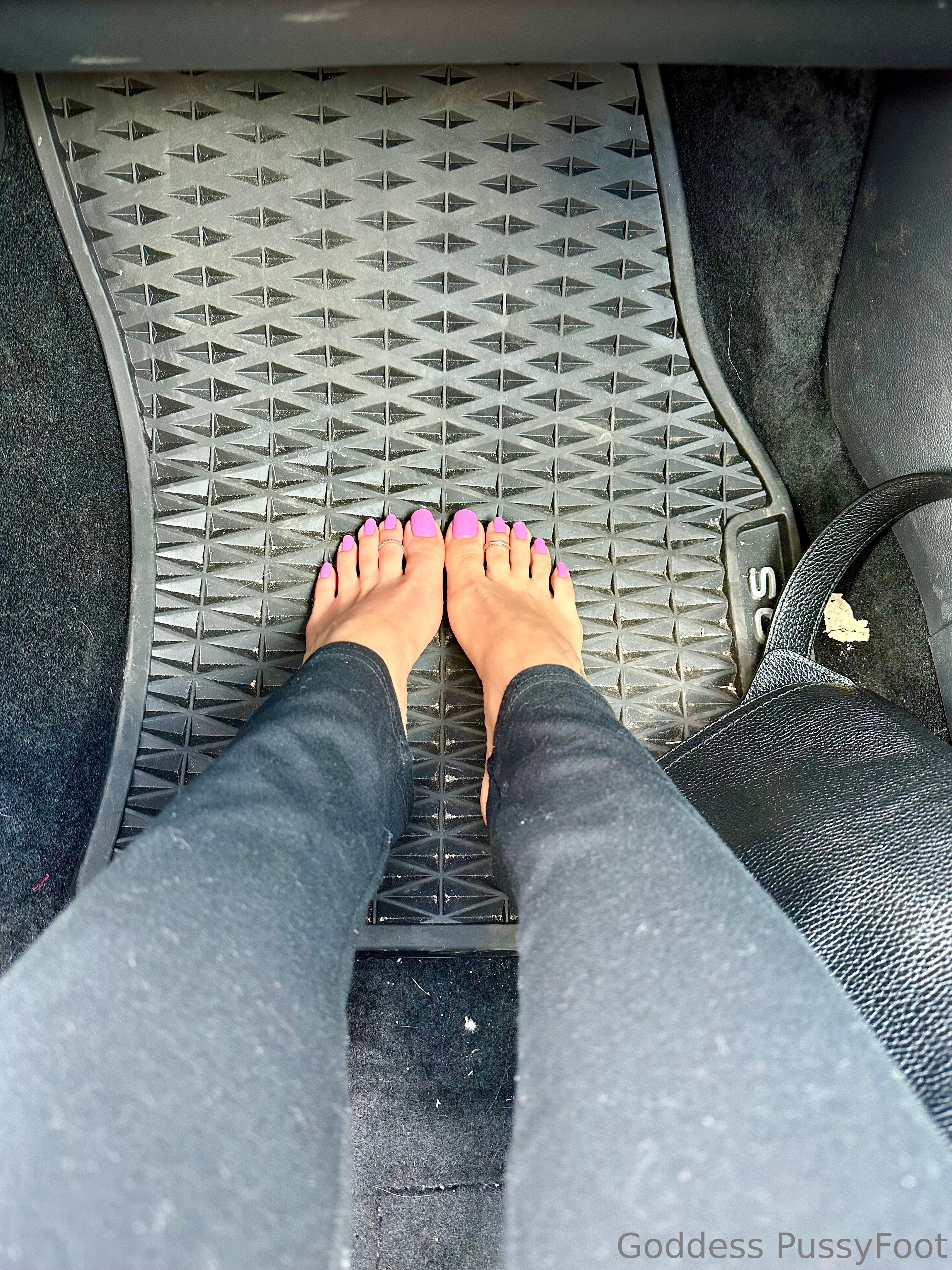 pussyfoot feet photo 1