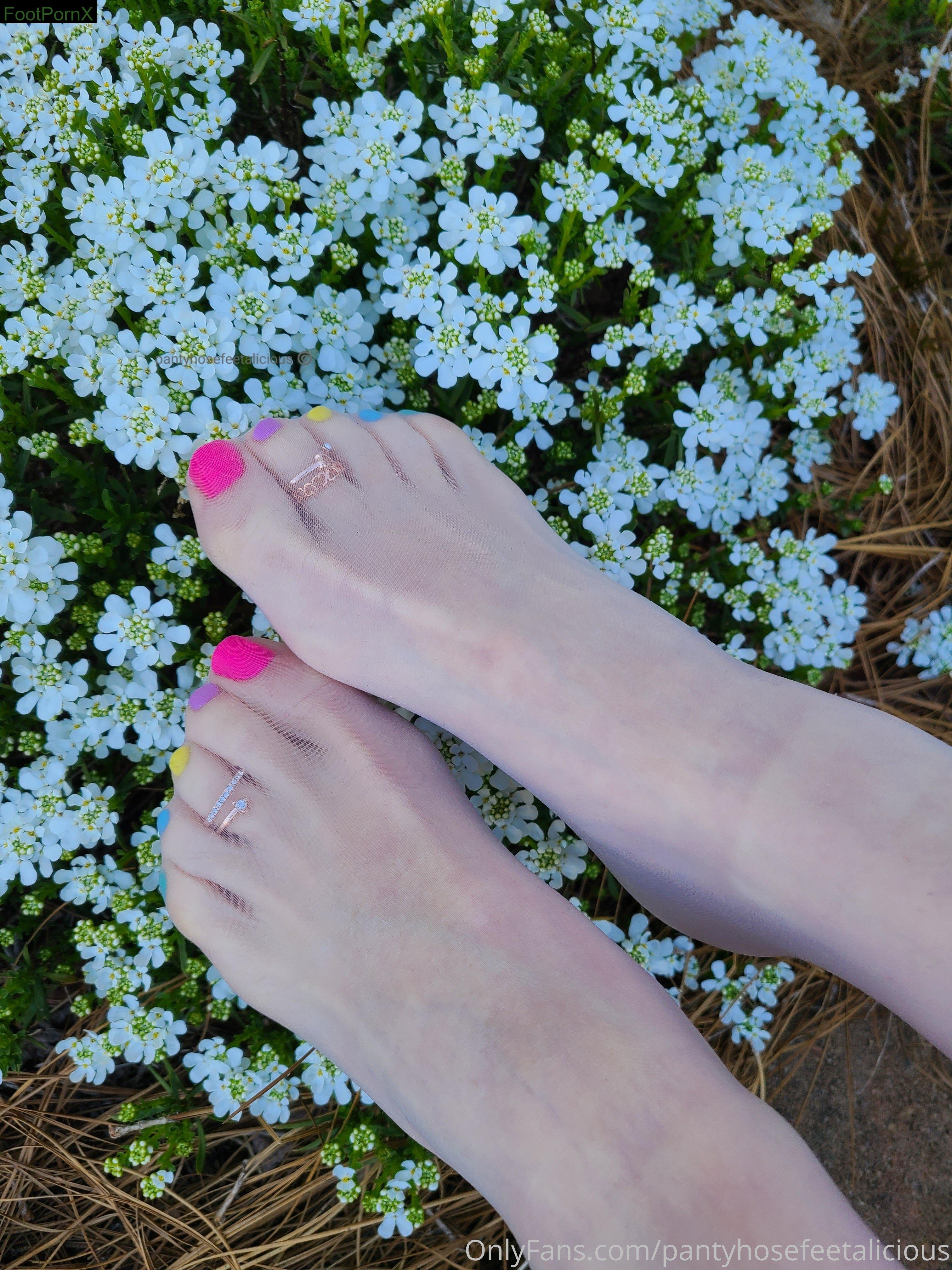 pantyhosefeetalicious feet photo 15