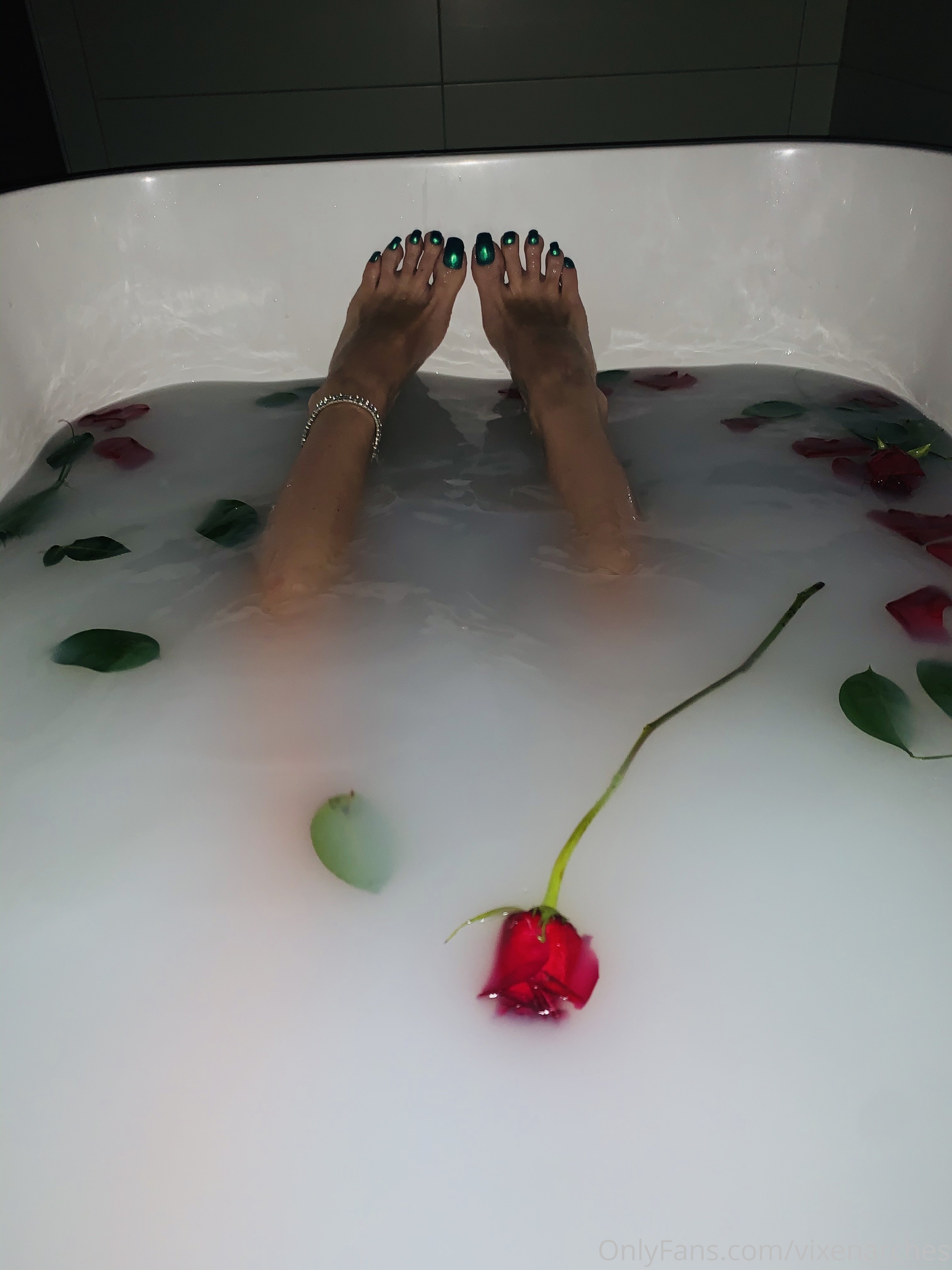 vixenarches feet photo 5