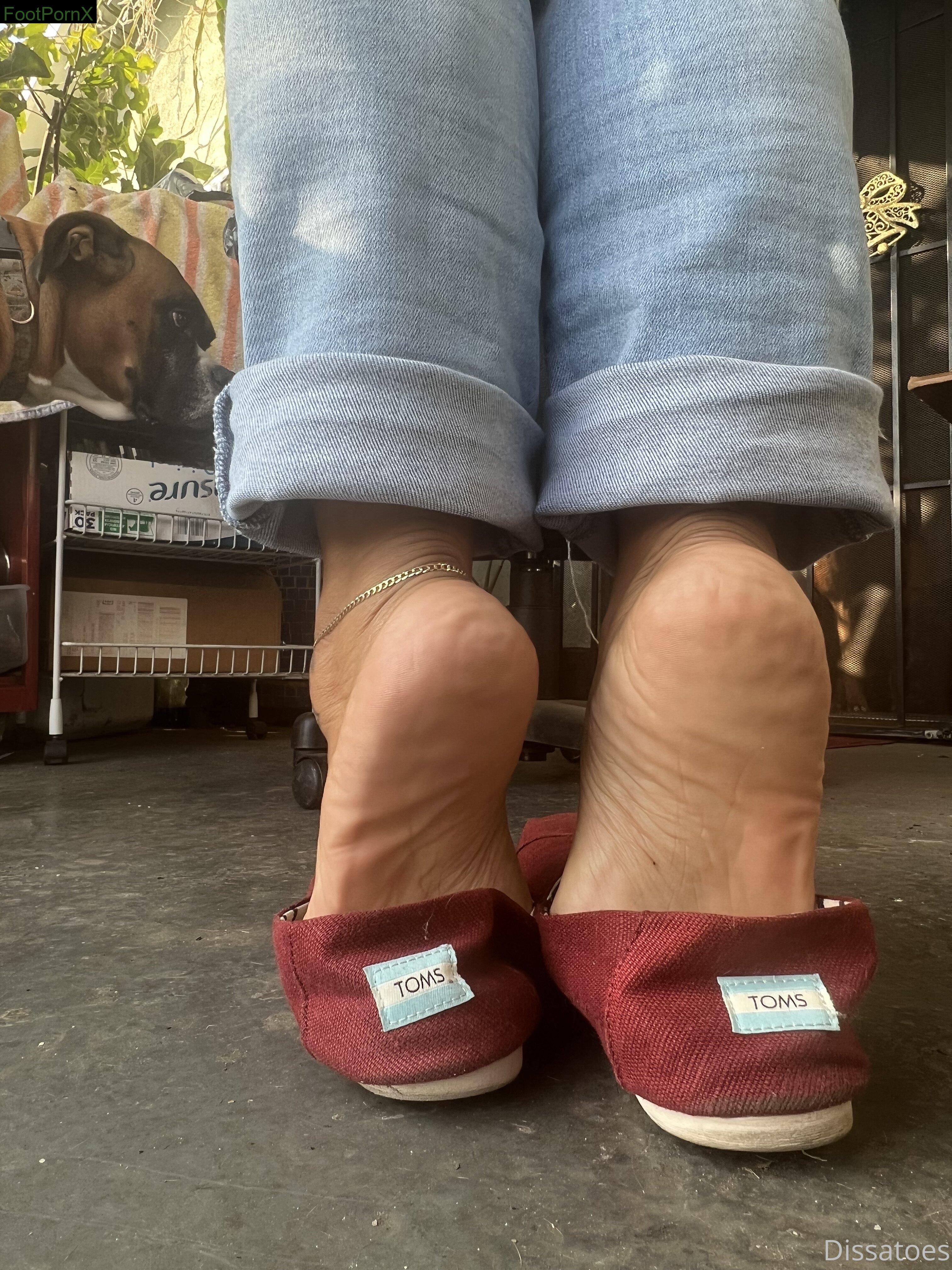 dissatoes feet photo 19