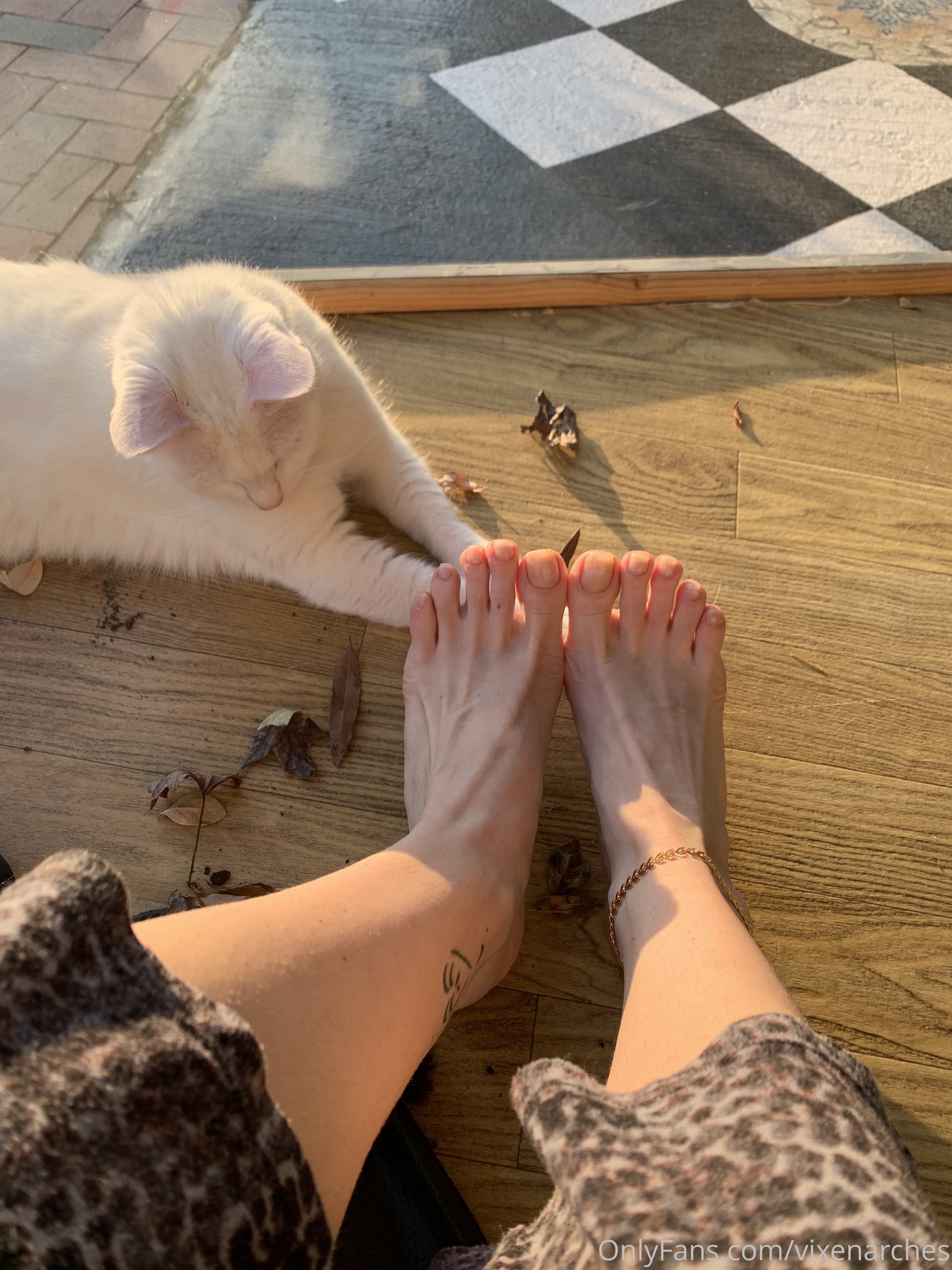 vixenarches feet photo 10