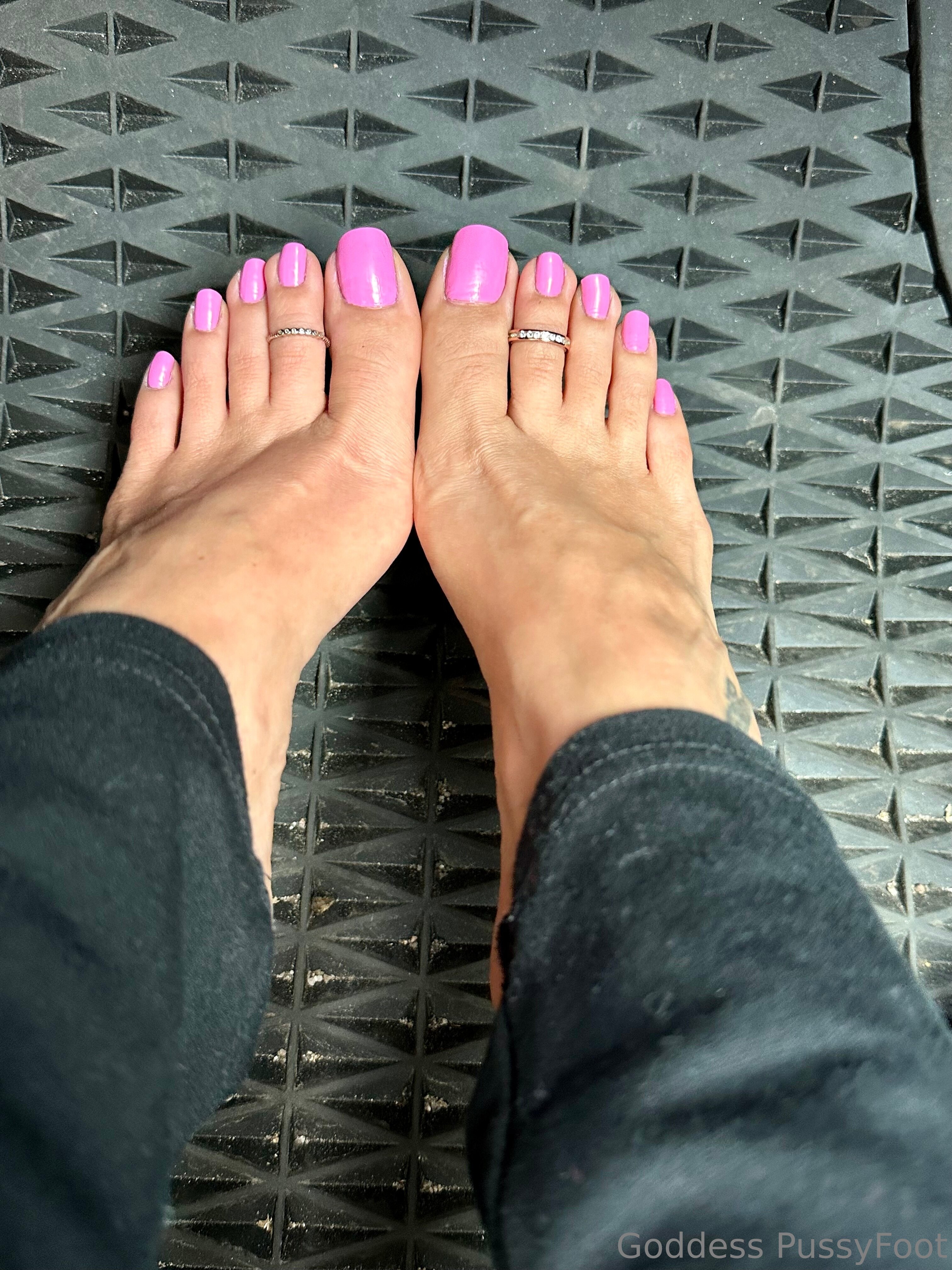 pussyfoot feet photo 5