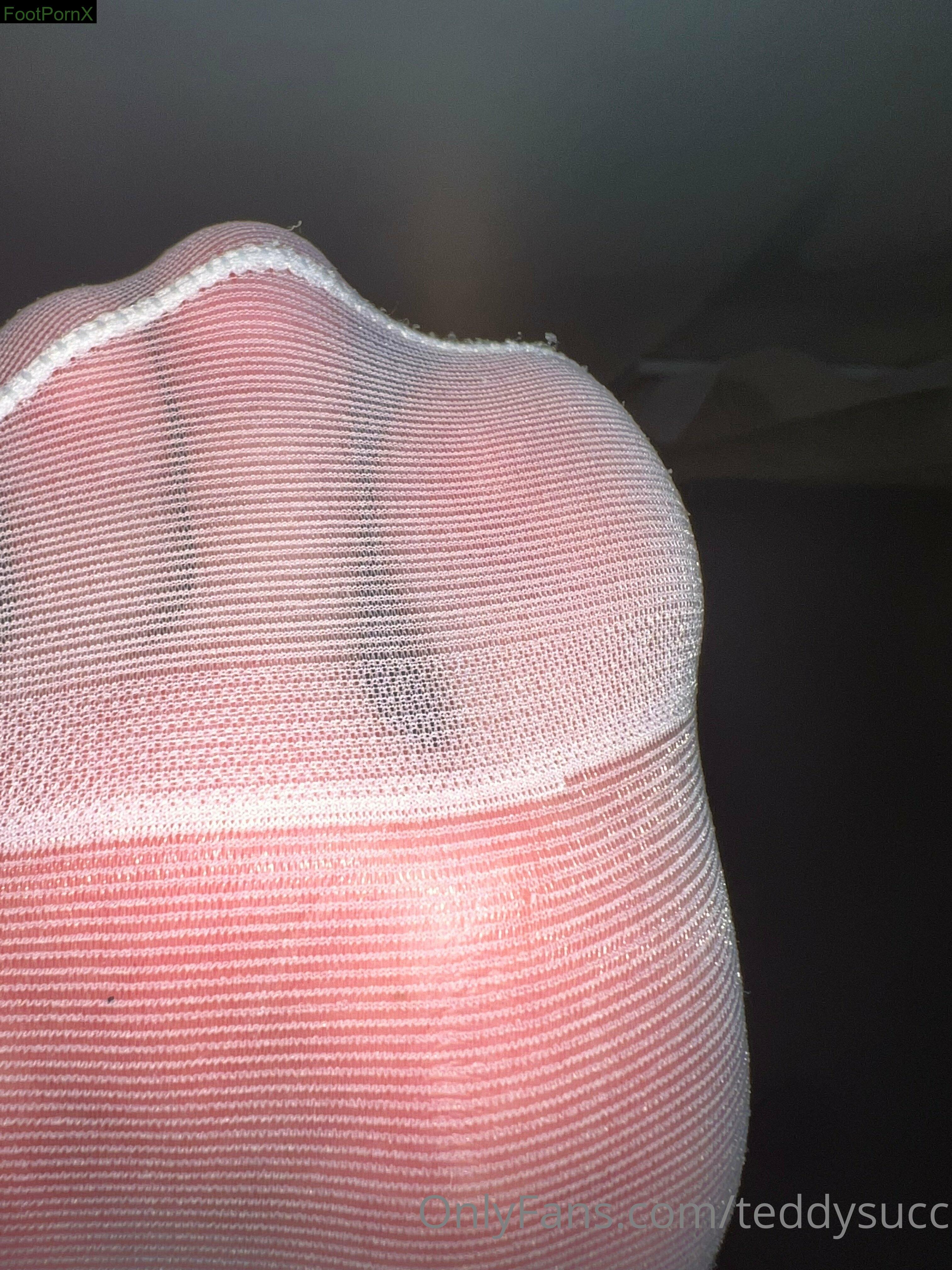 teddysucc feet photo 1