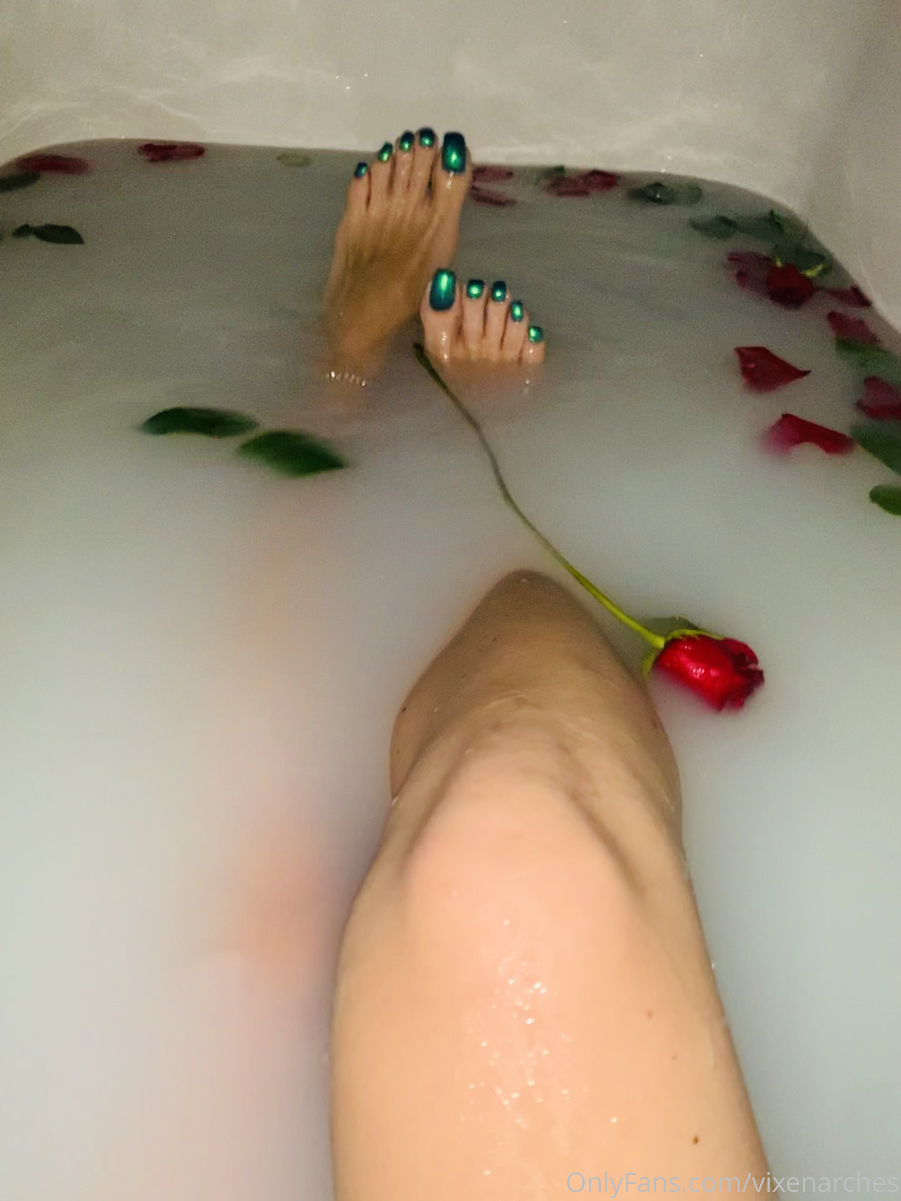 vixenarches feet photo 8
