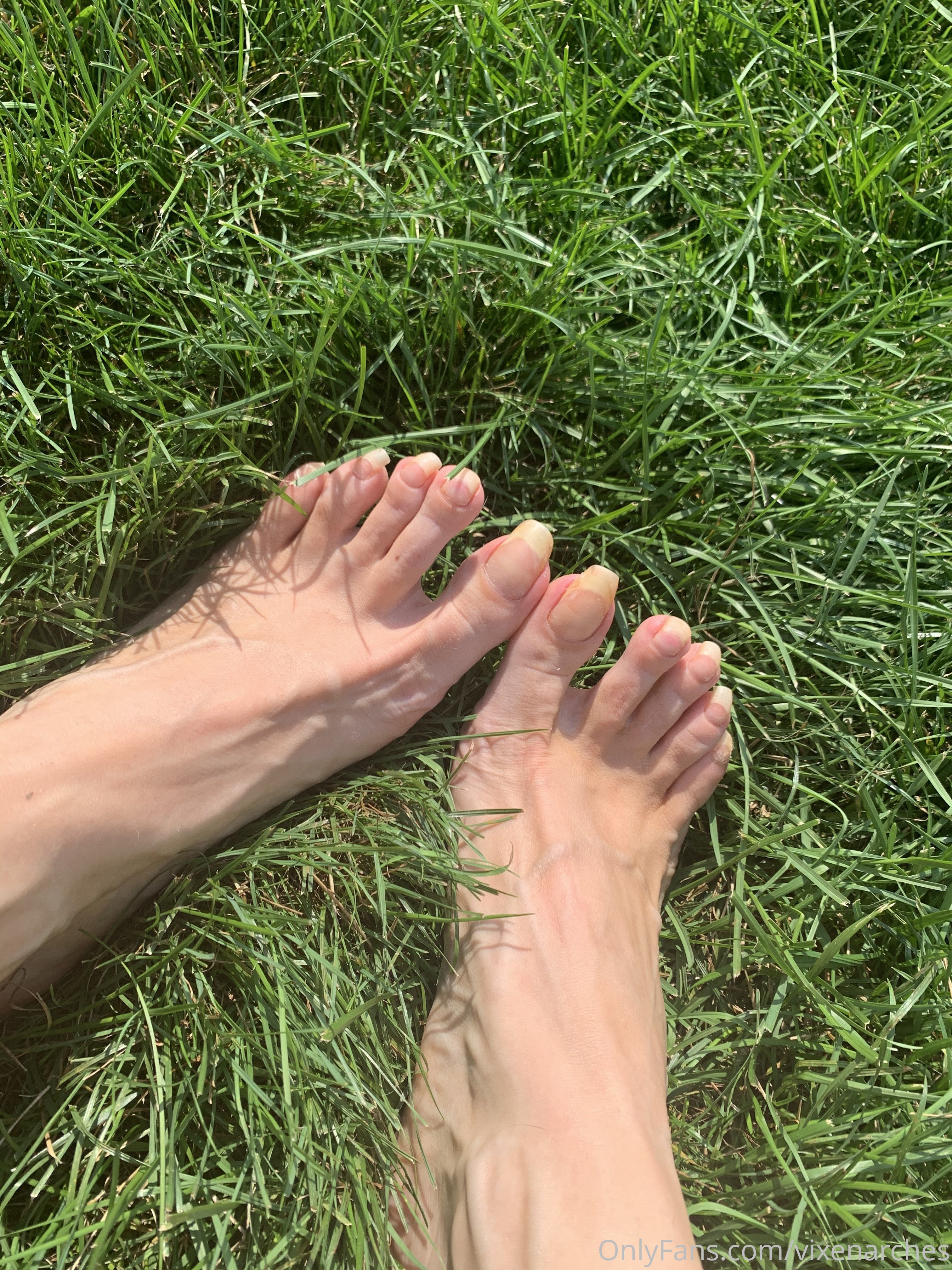 vixenarches feet photo 17