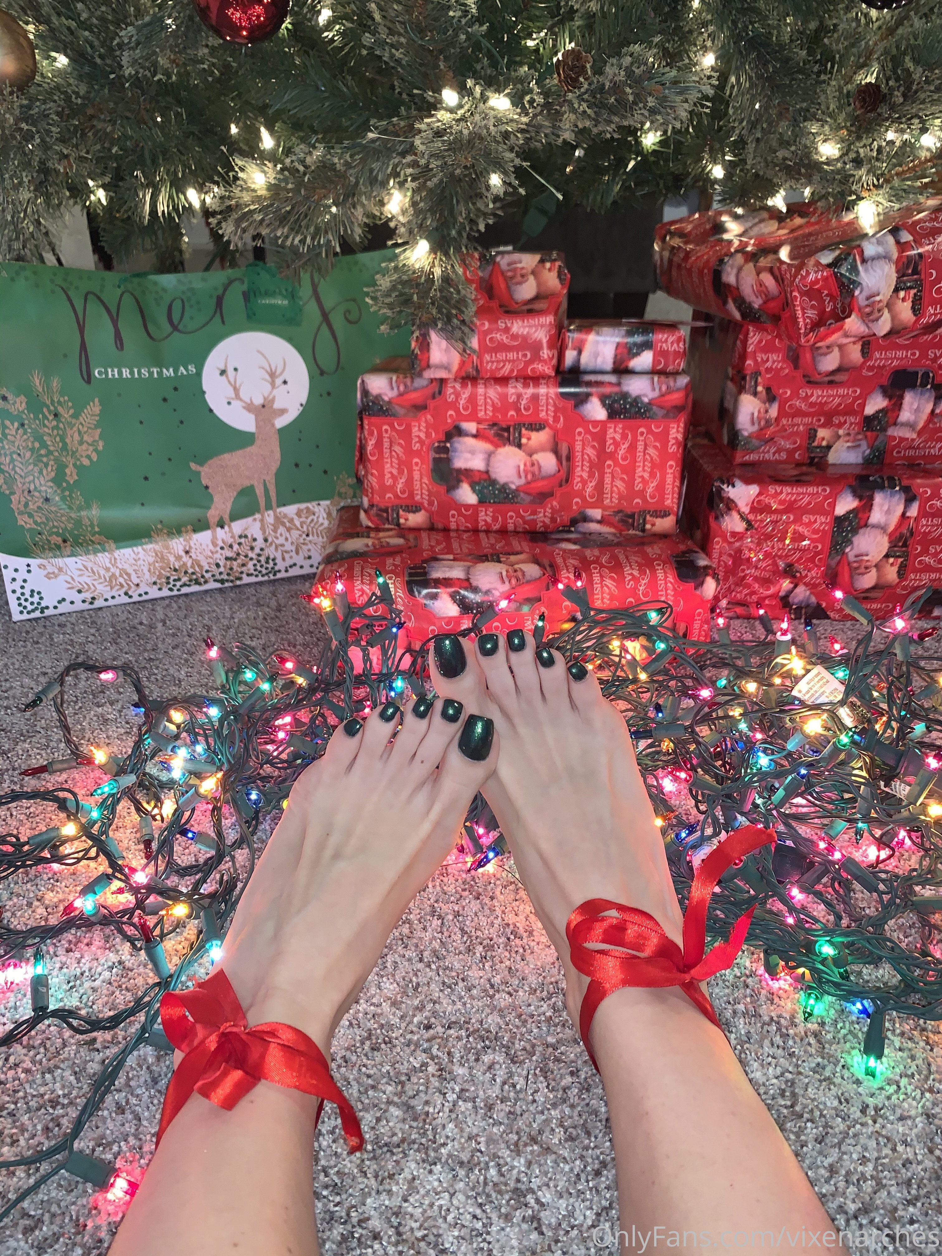 vixenarches feet photo 2