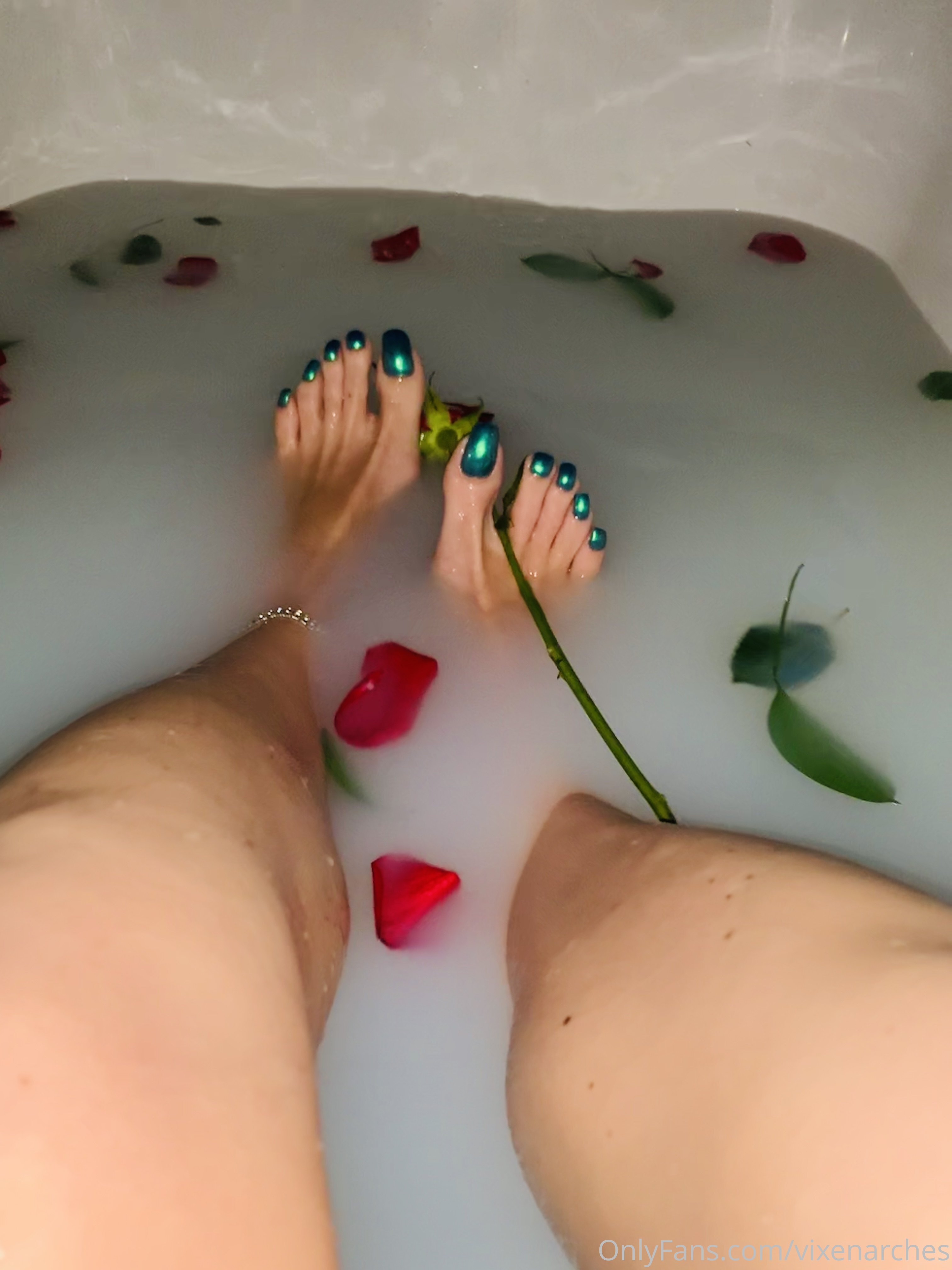 vixenarches feet photo 24