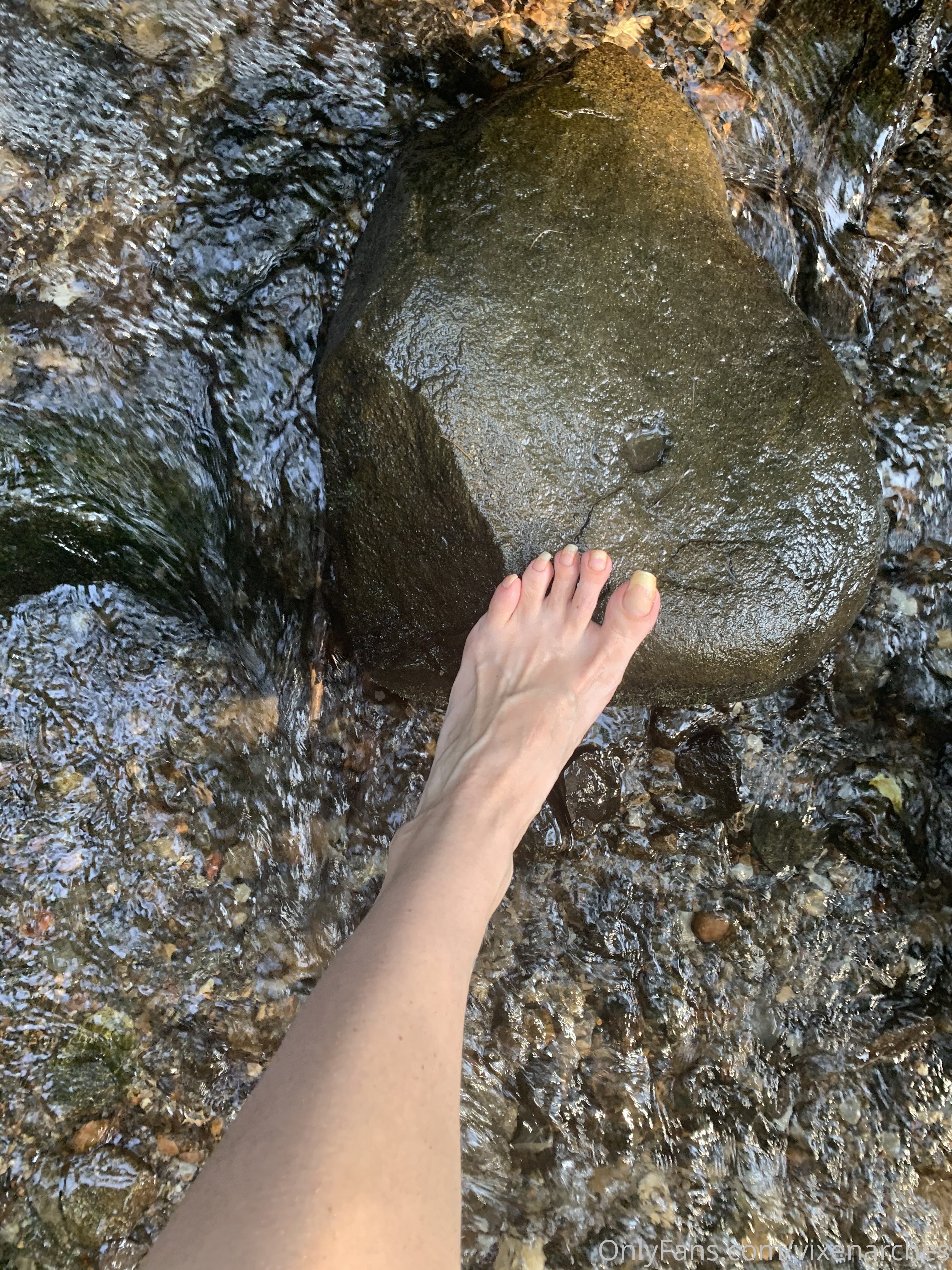 vixenarches feet photo 9
