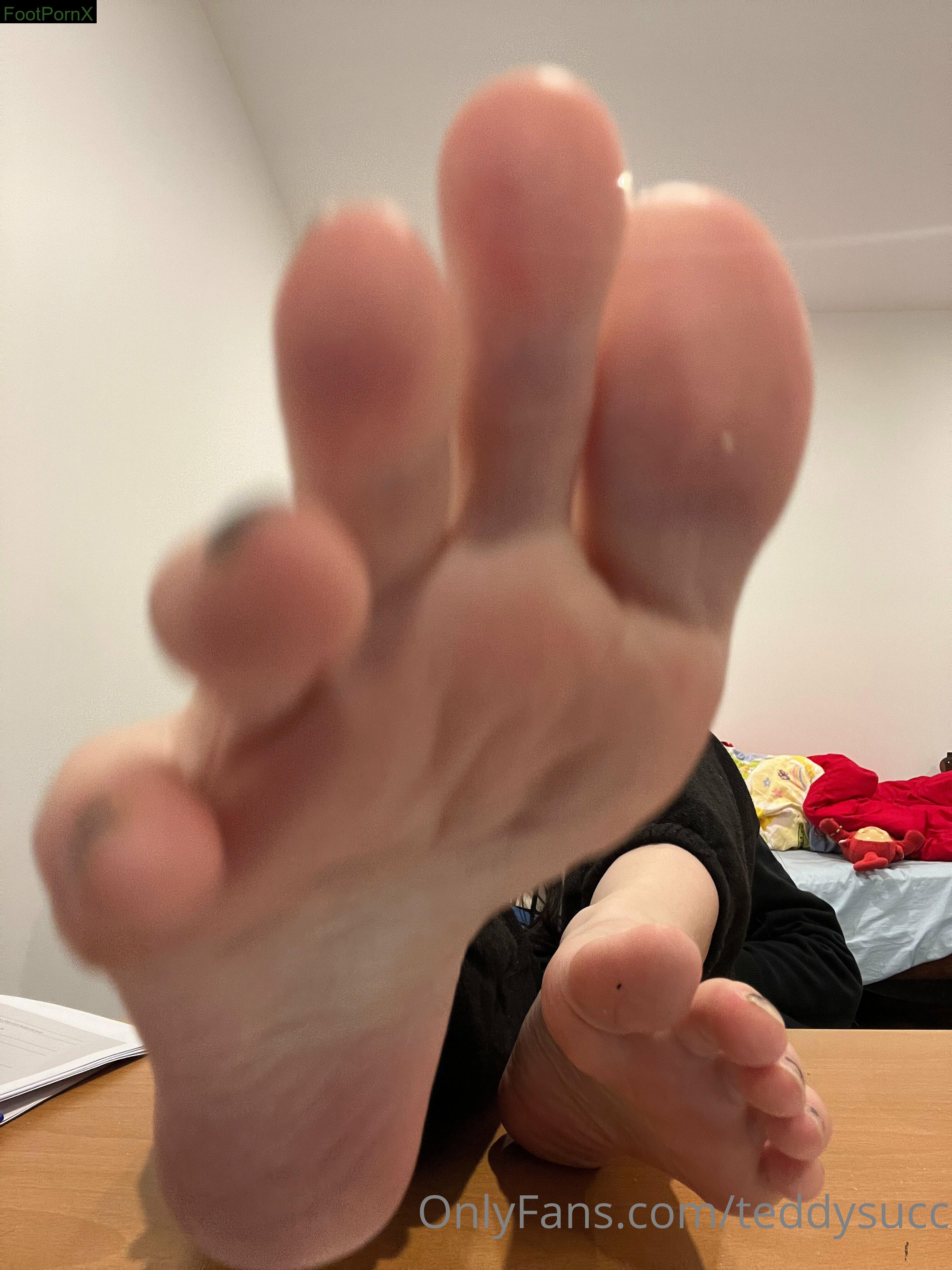 teddysucc feet photo 3