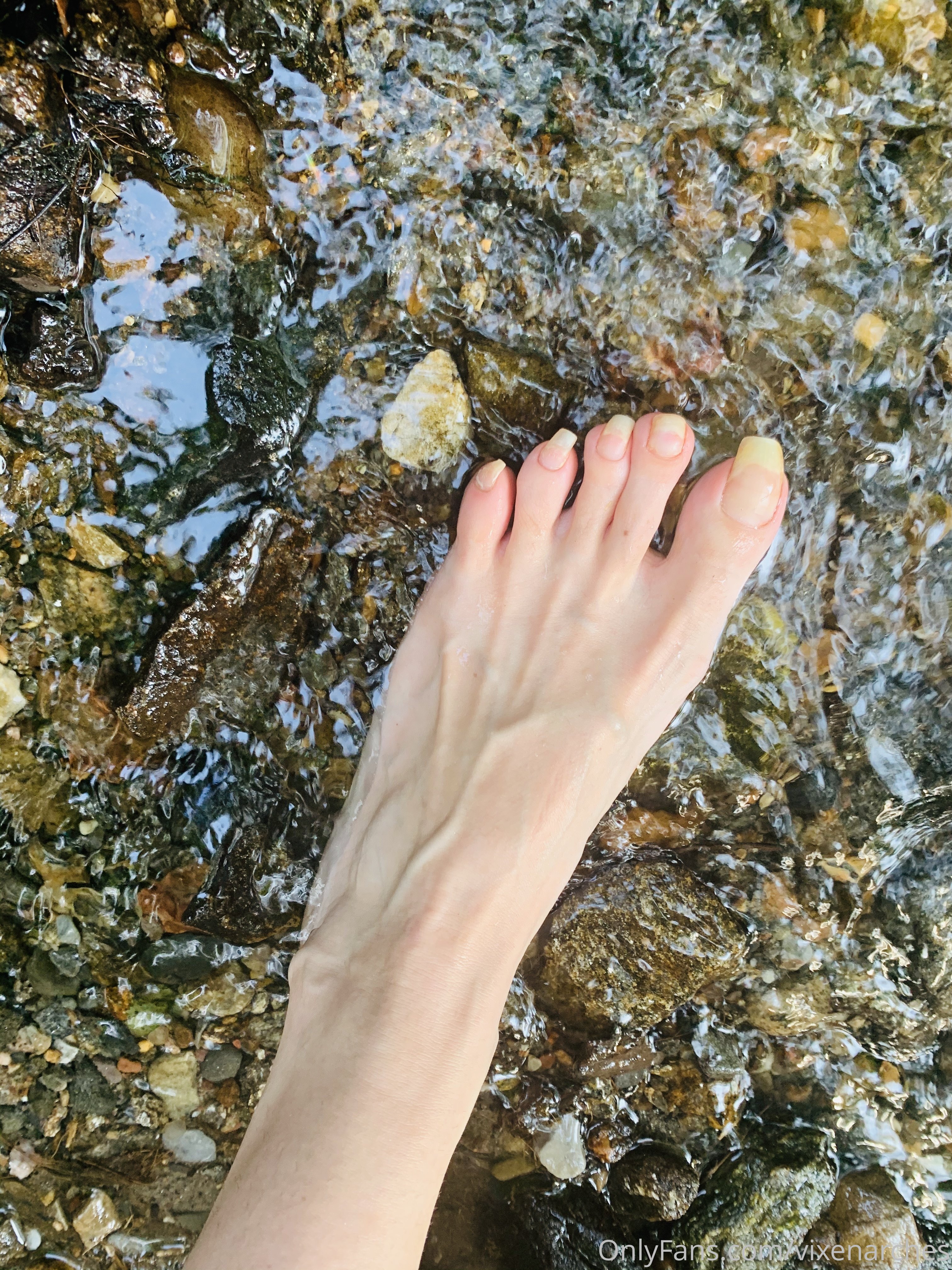 vixenarches feet photo 9
