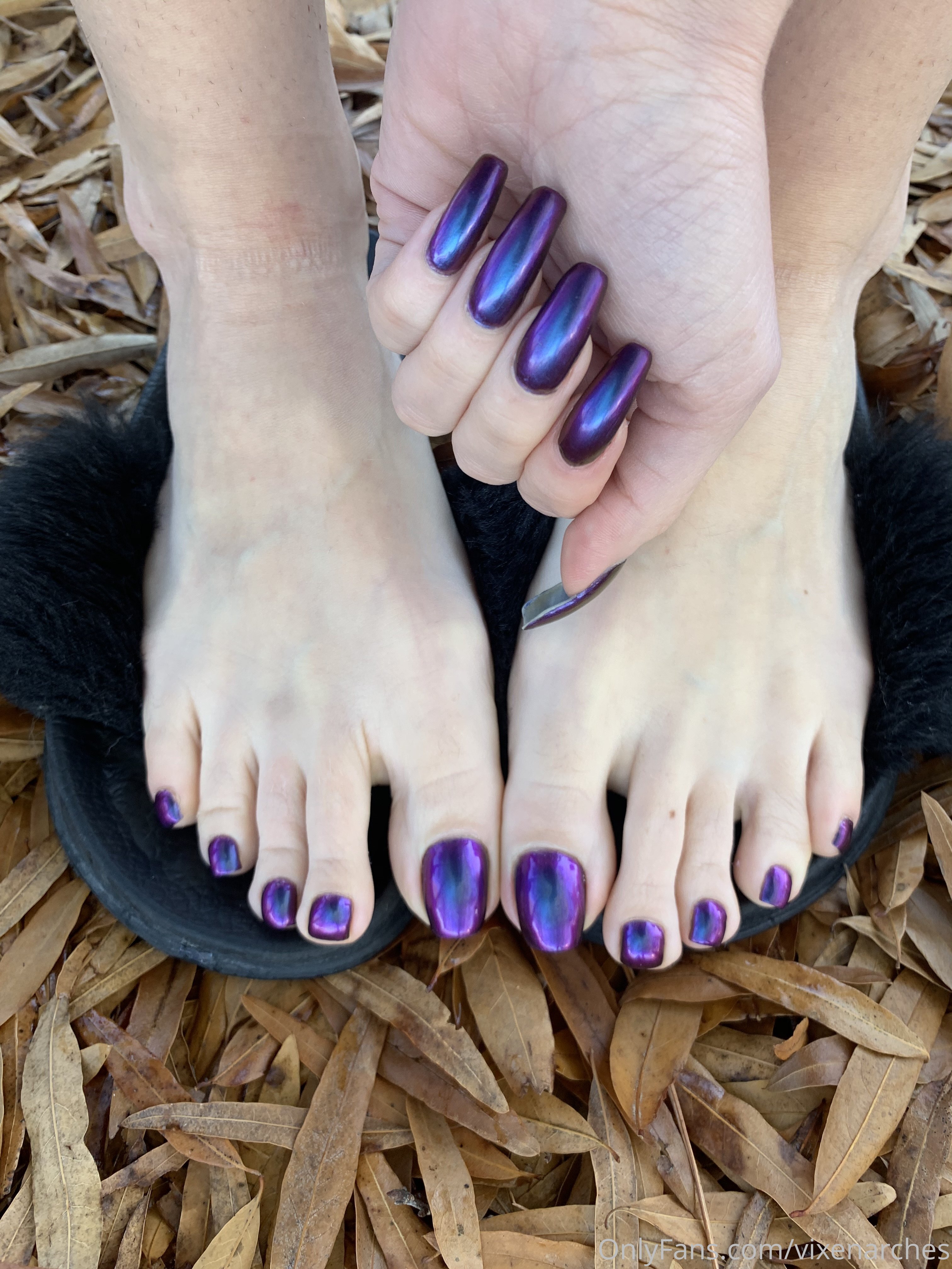 vixenarches feet photo 12