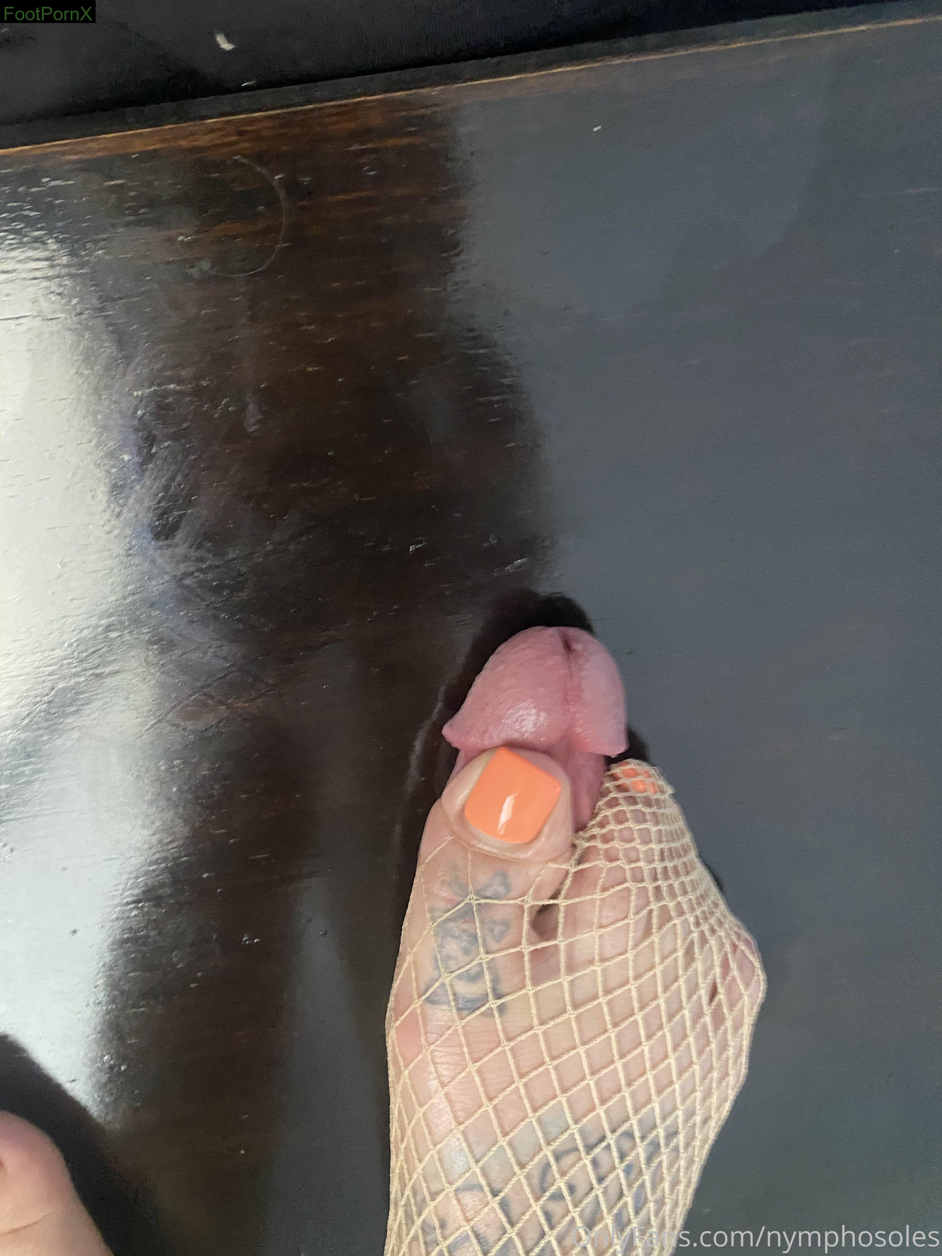 nymphosoles feet photo 13