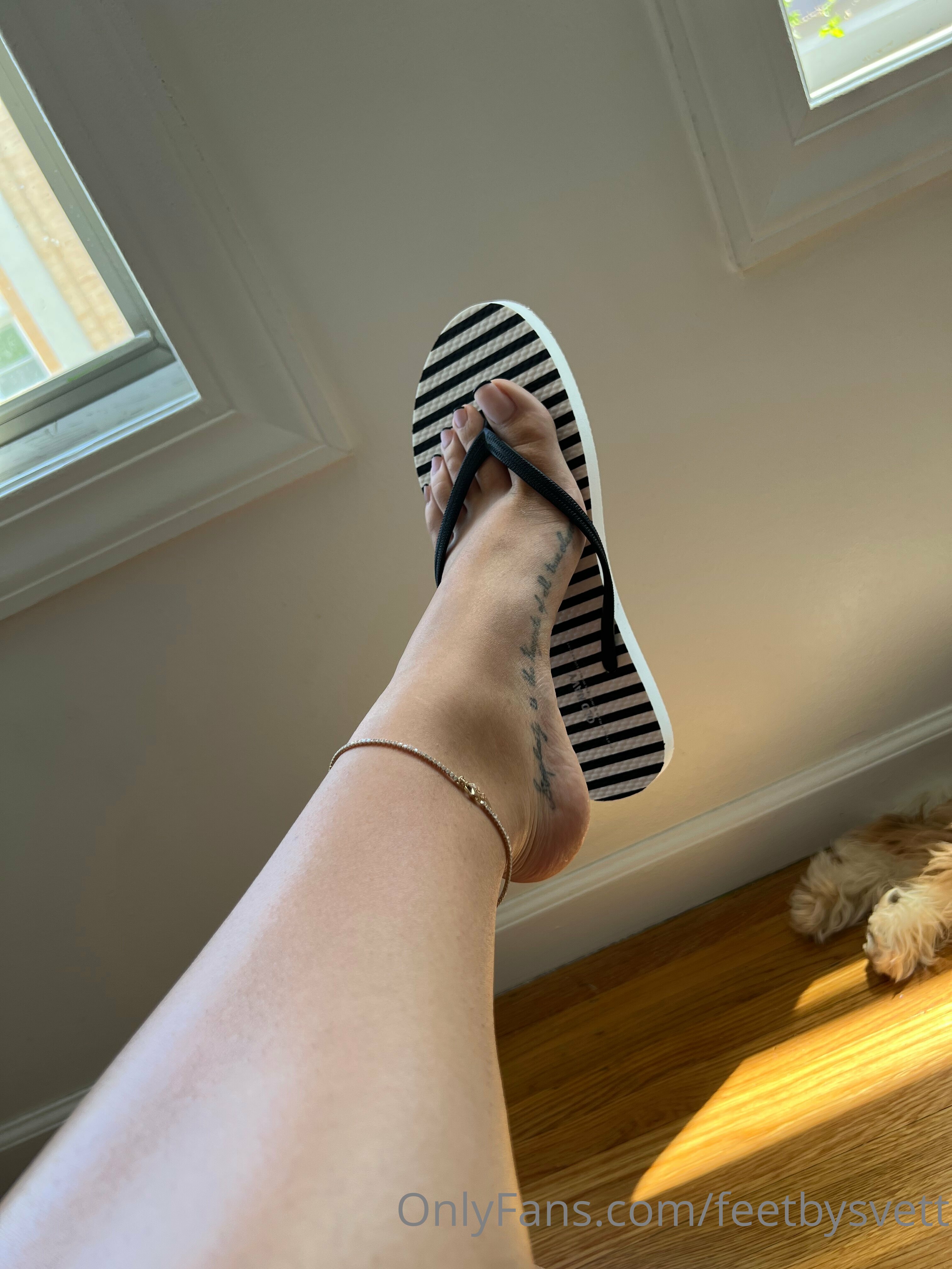 feetbysvett feet photo 14
