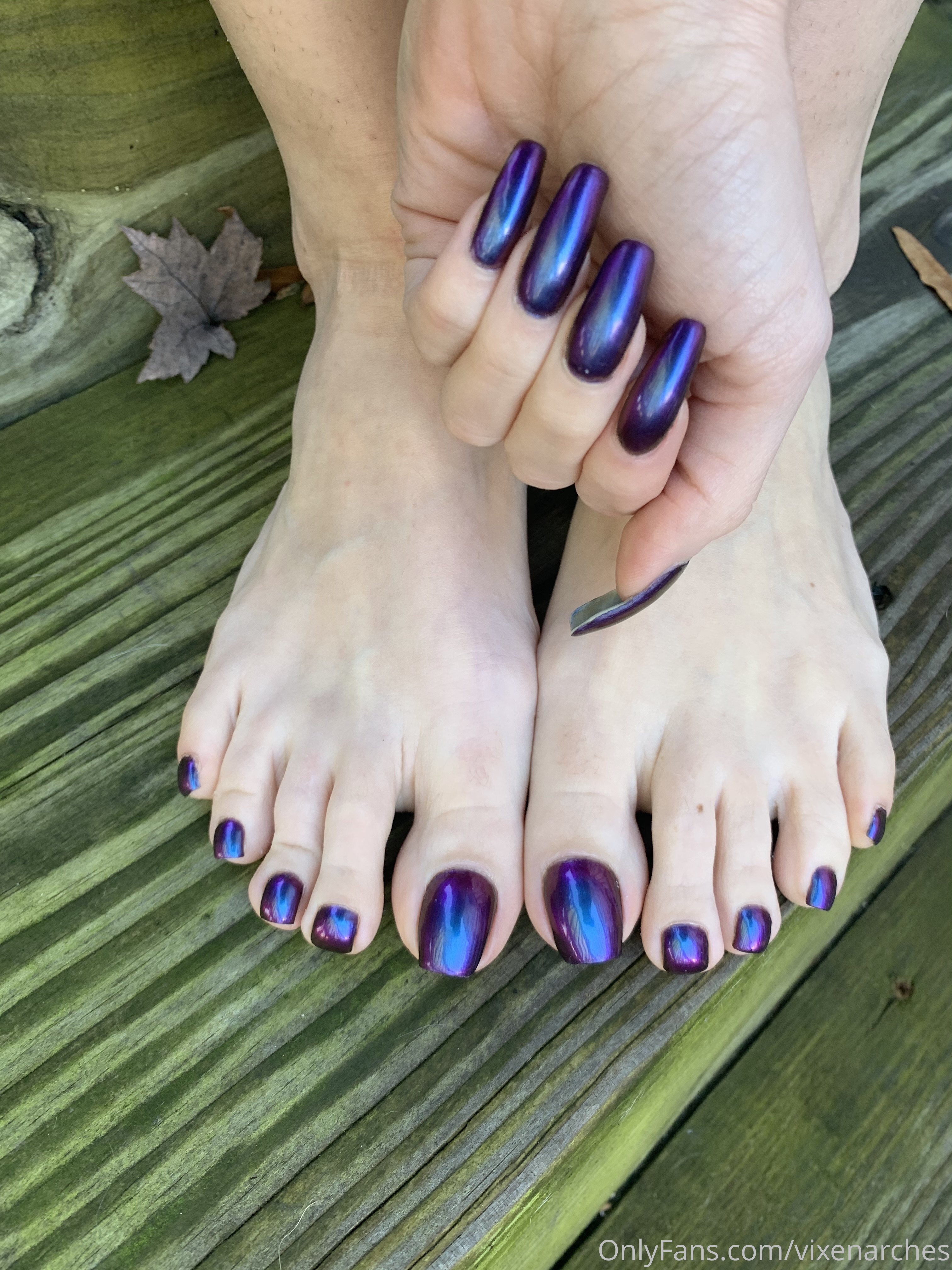 vixenarches feet photo 10