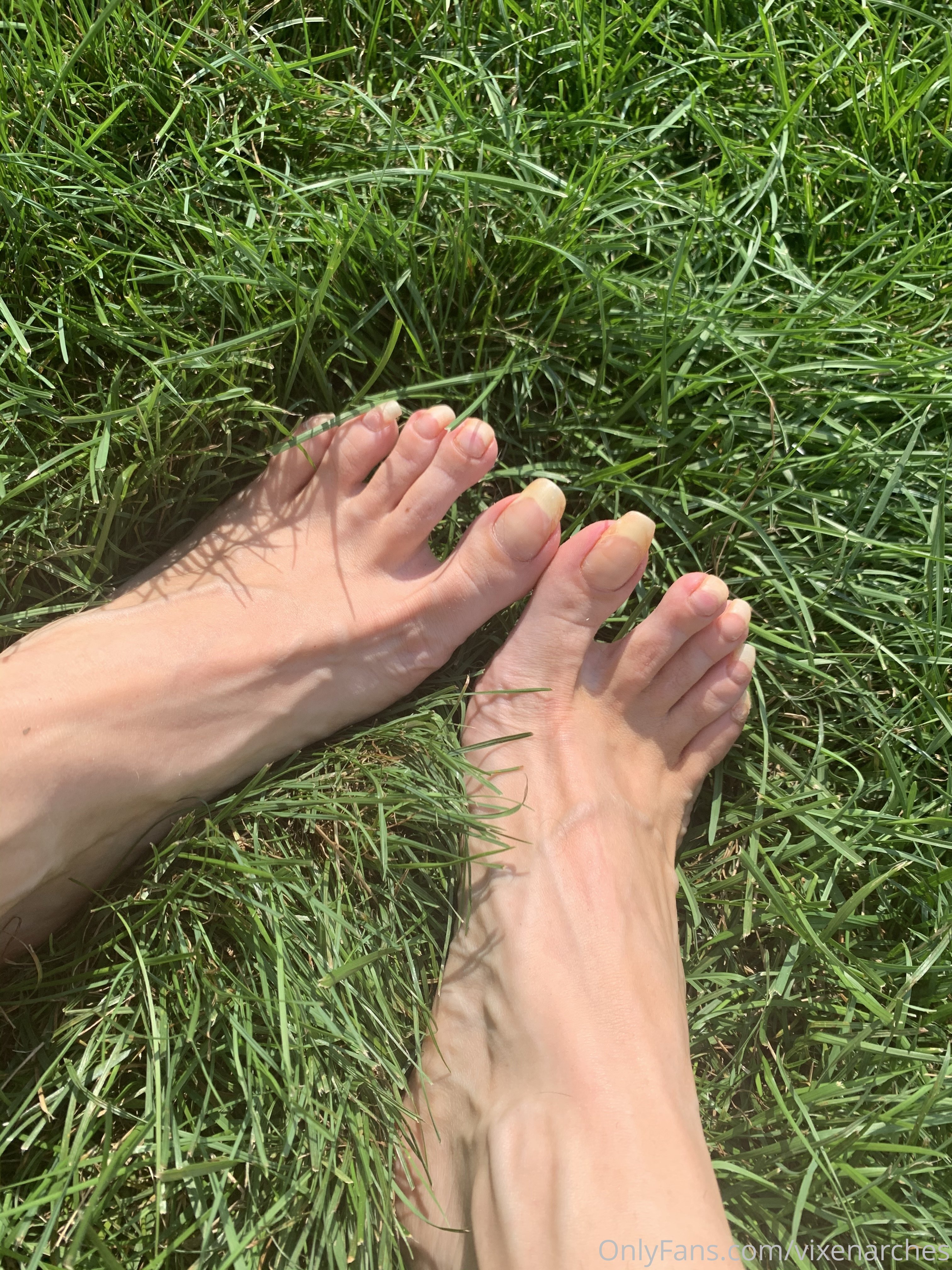 vixenarches feet photo 17