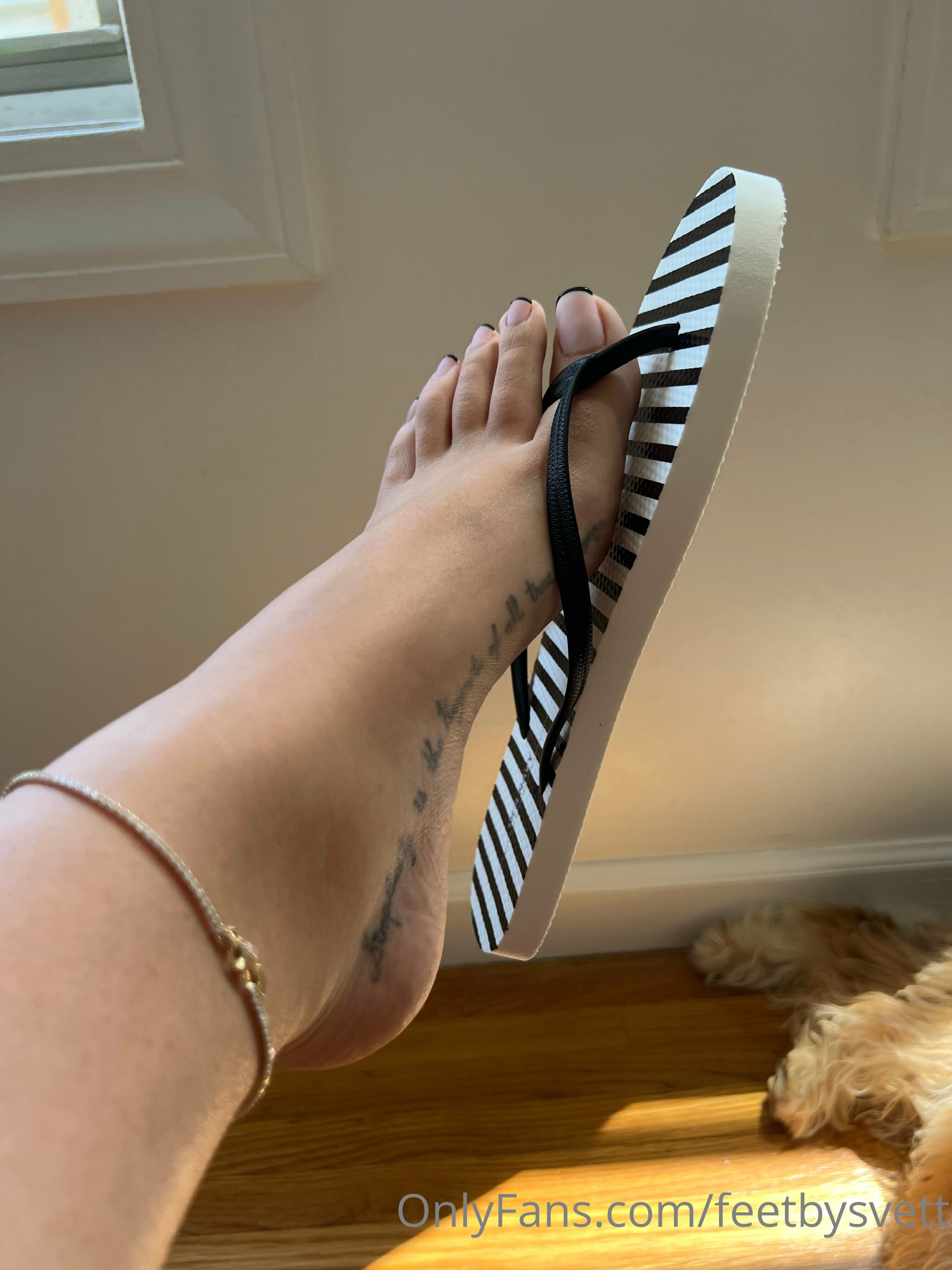 feetbysvett feet photo 19