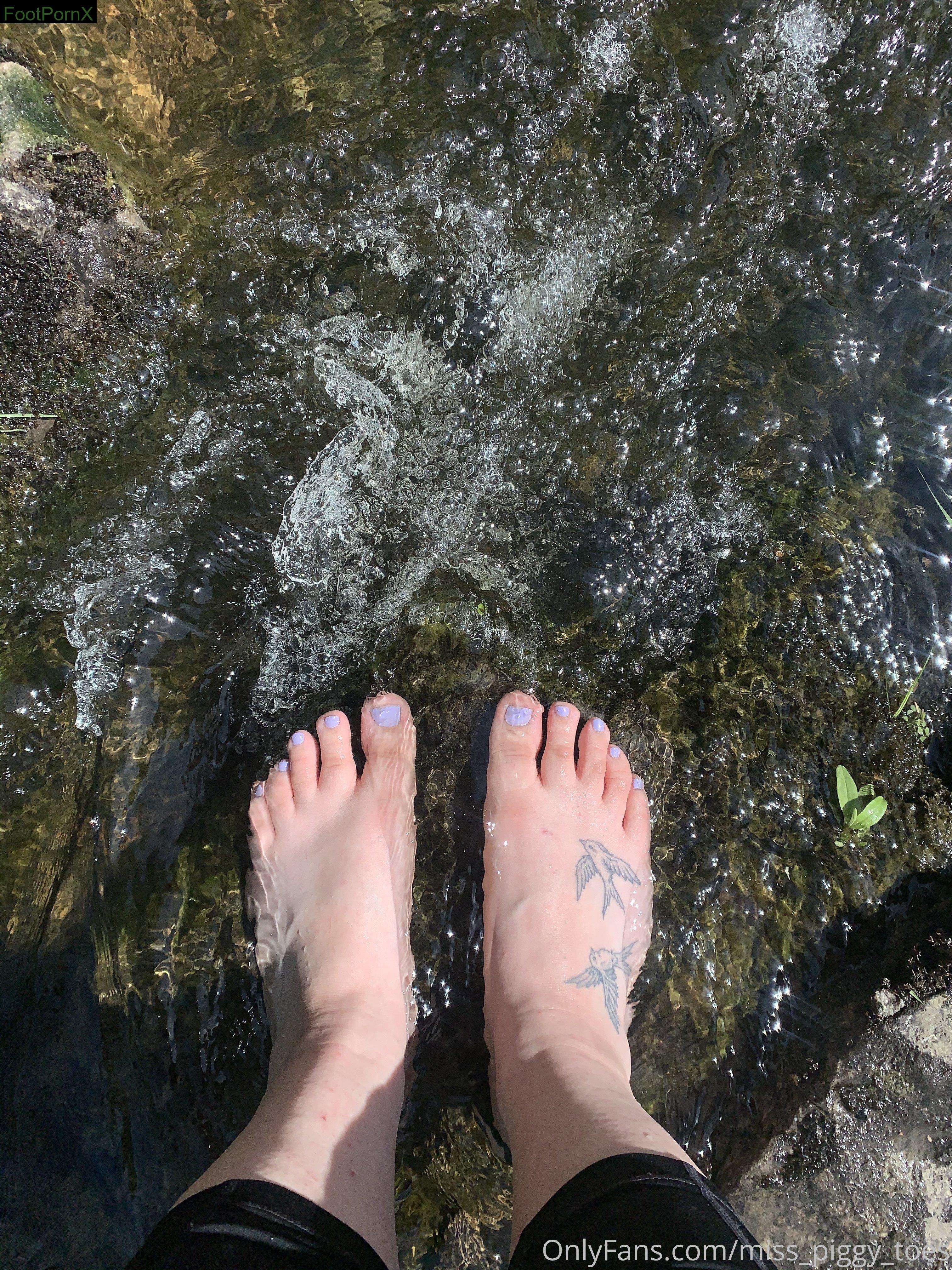 miss_piggy_toes feet photo 3