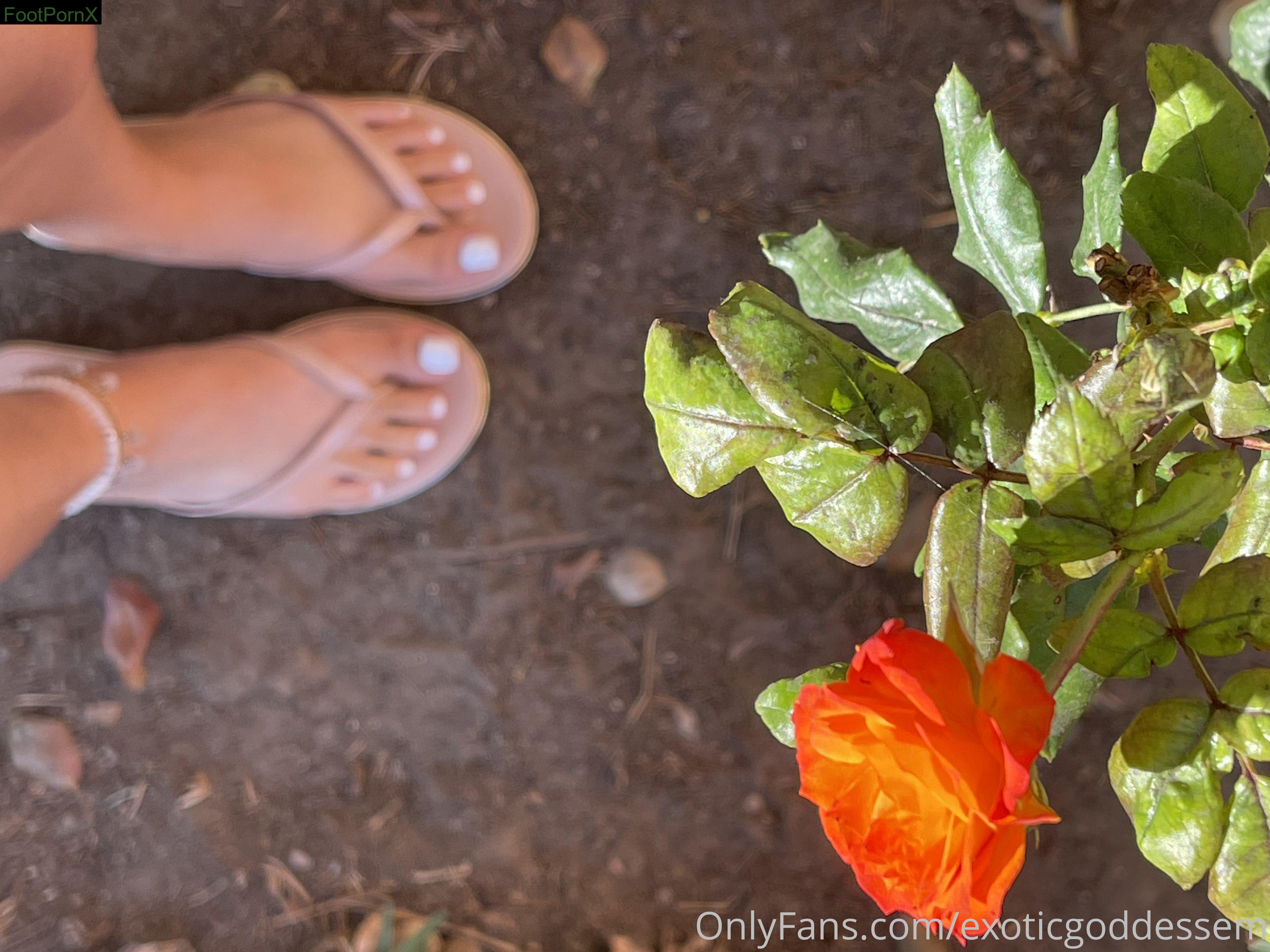 exoticgoddessem feet photo 22
