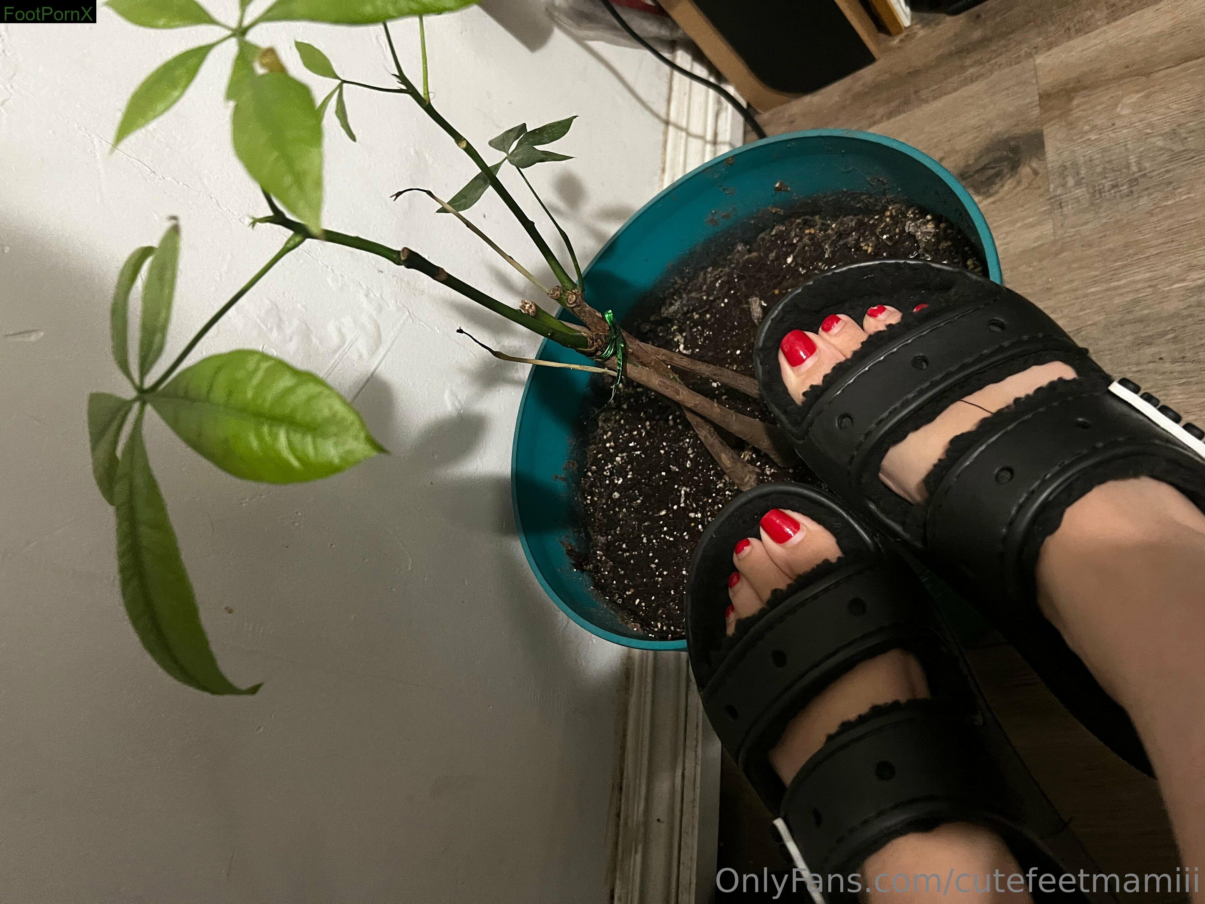 cutefeetmamiii feet photo 6