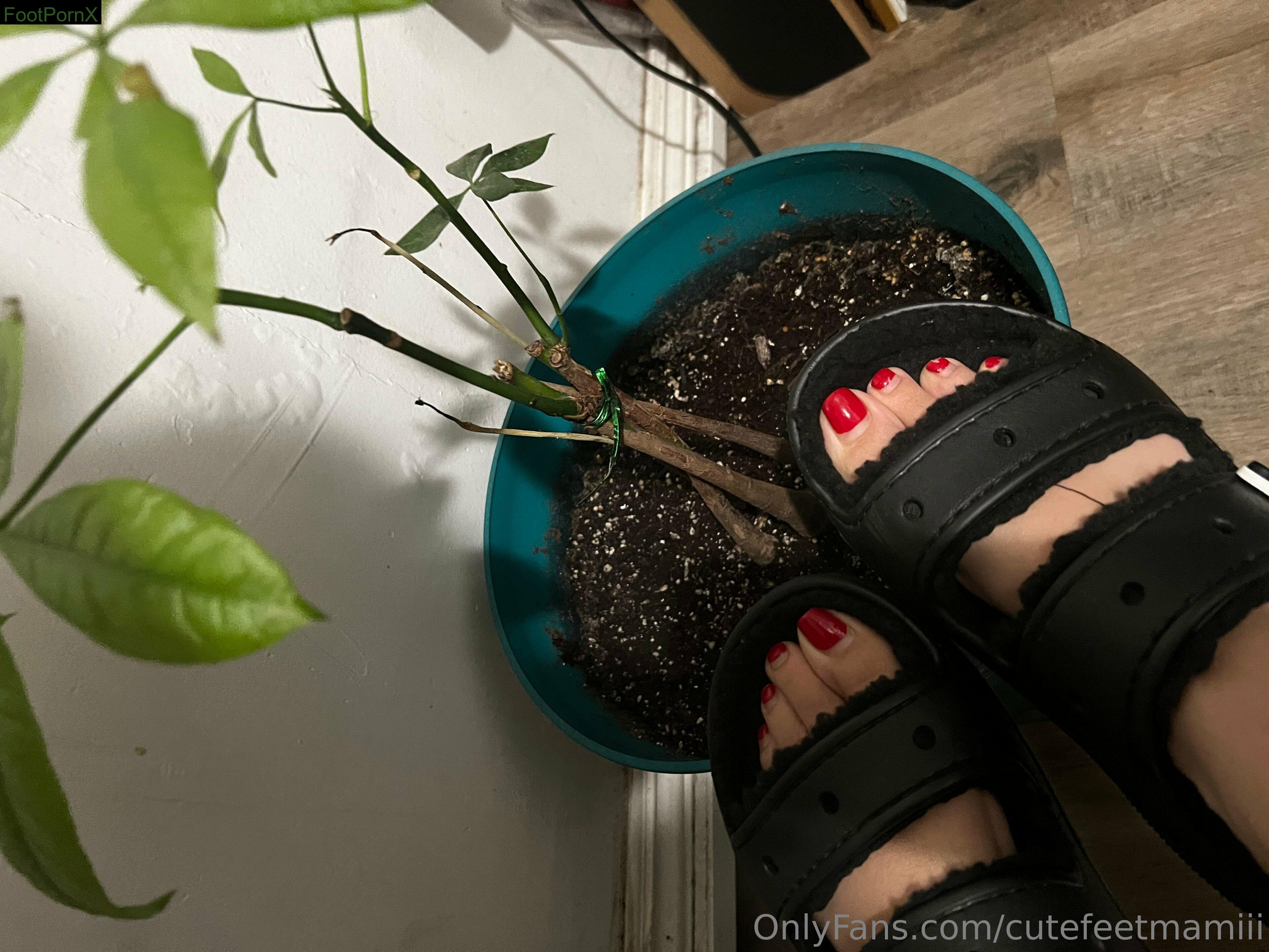 cutefeetmamiii feet photo 8