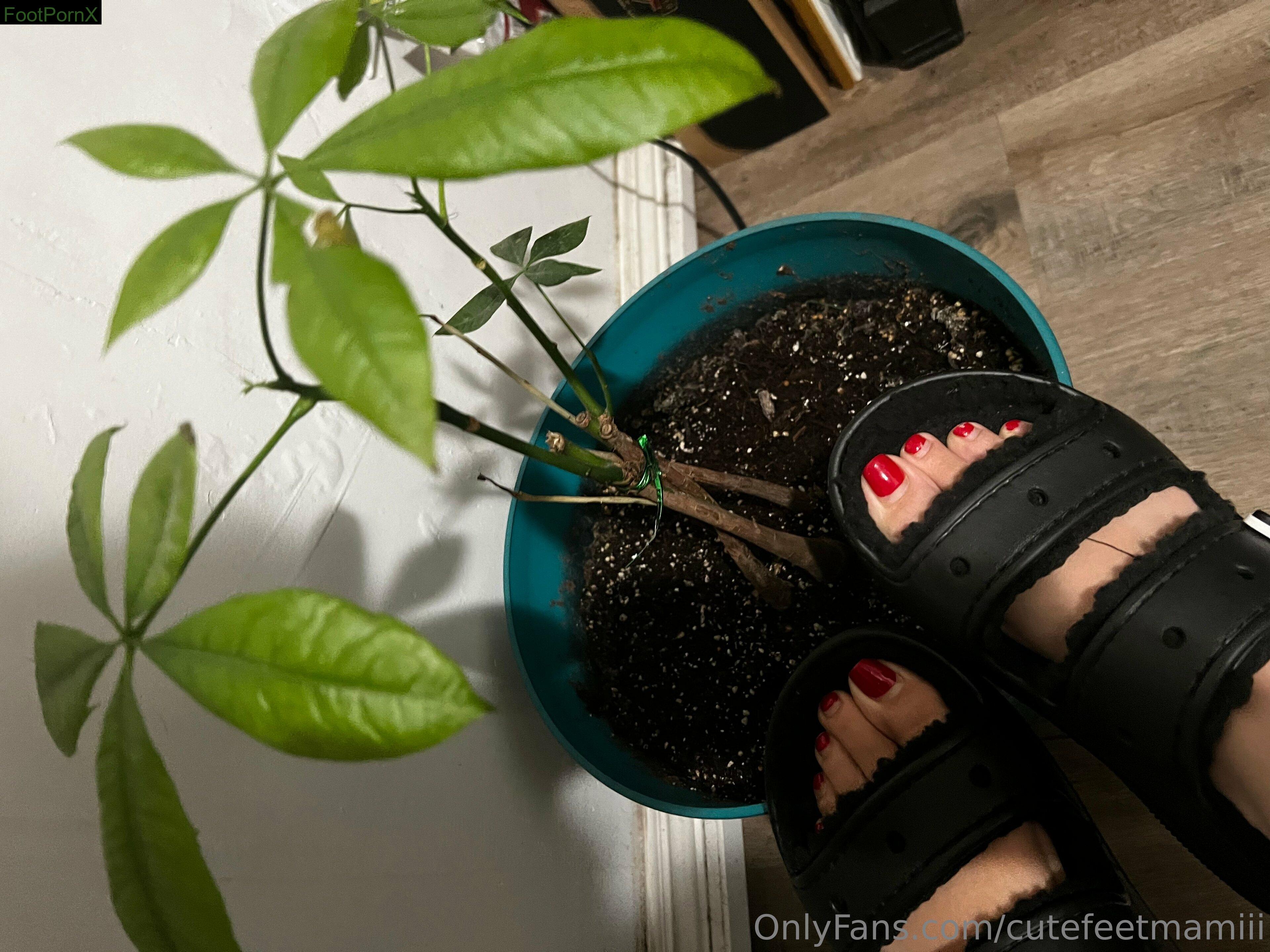 cutefeetmamiii feet photo 9