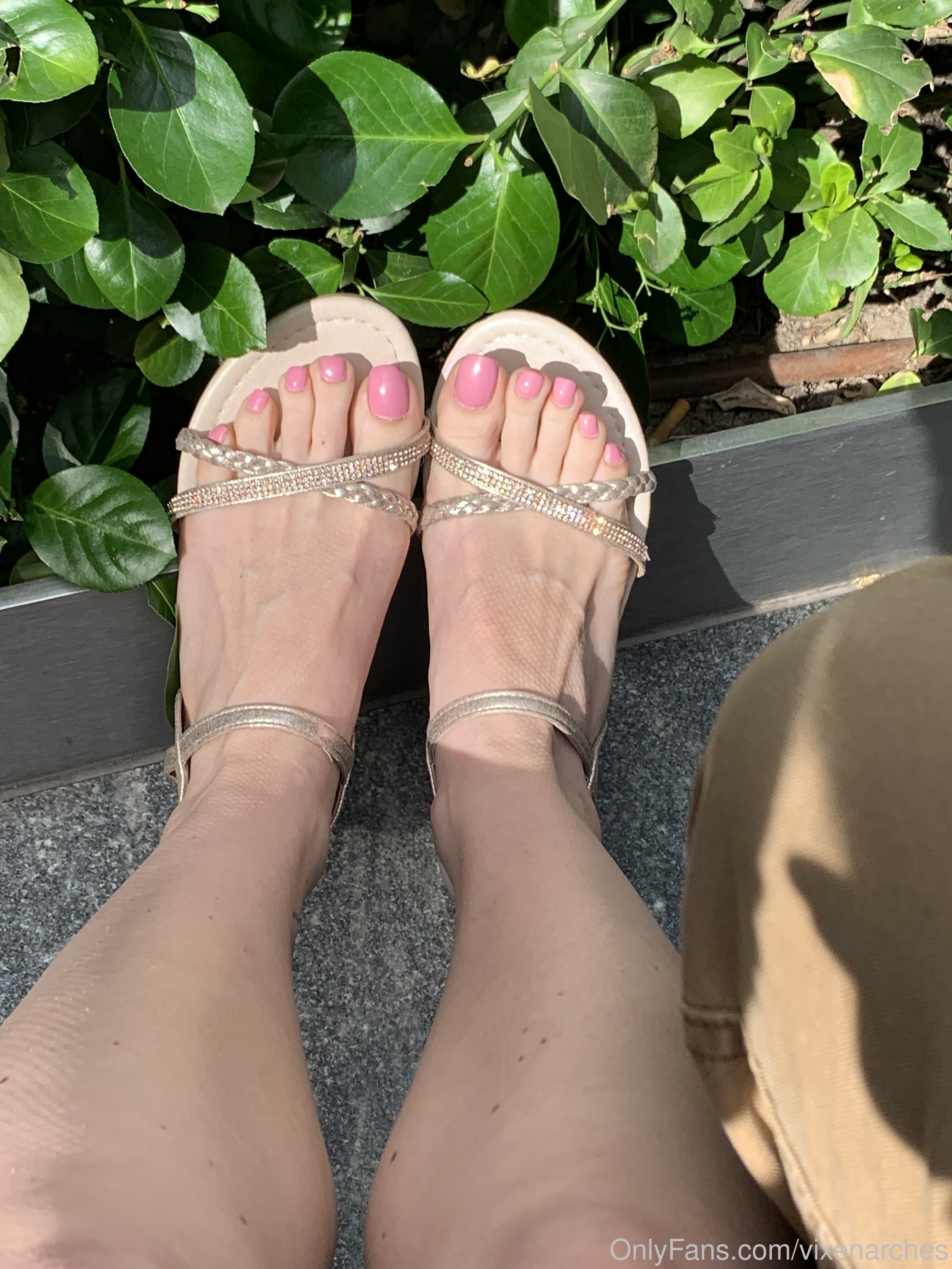 vixenarches feet photo 12