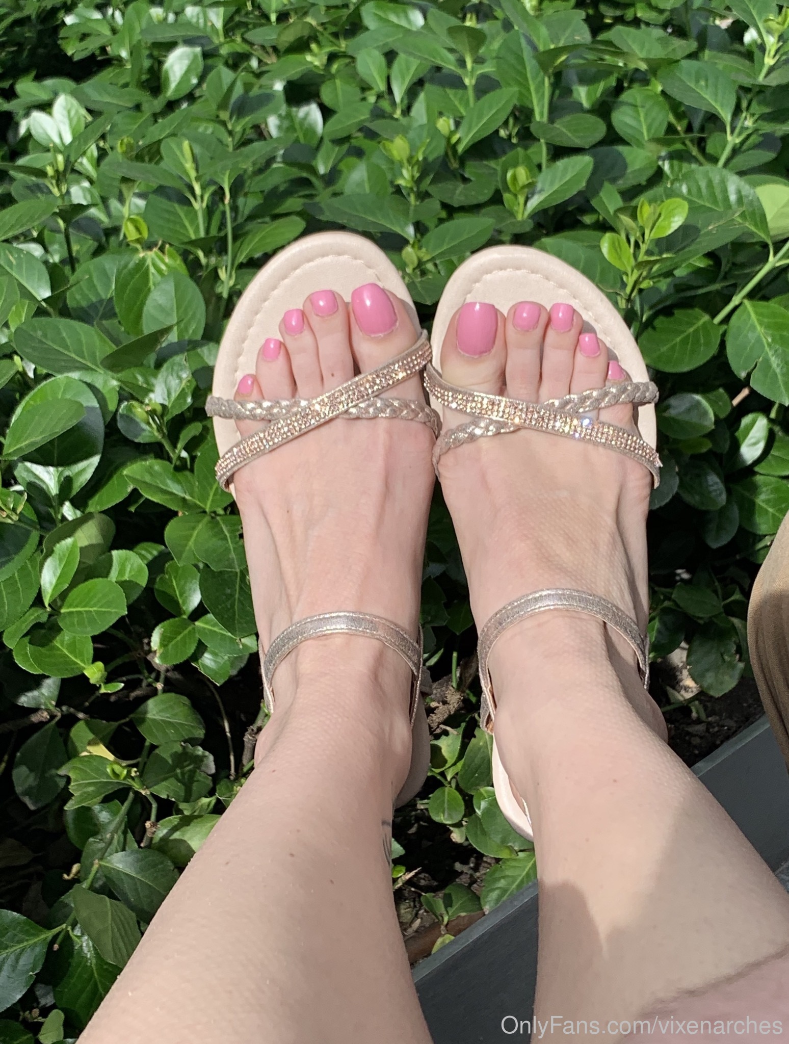 vixenarches feet photo 16