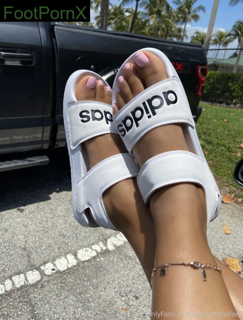 gataofficialfeet feet photo 7