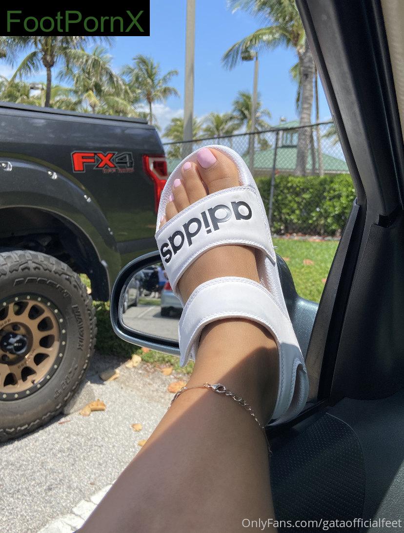gataofficialfeet feet photo 4
