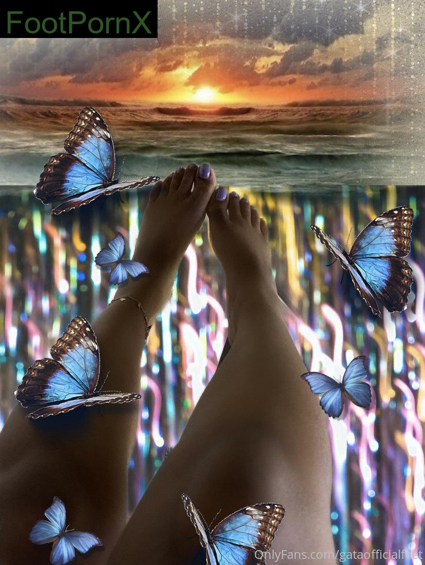 gataofficialfeet feet photo 3