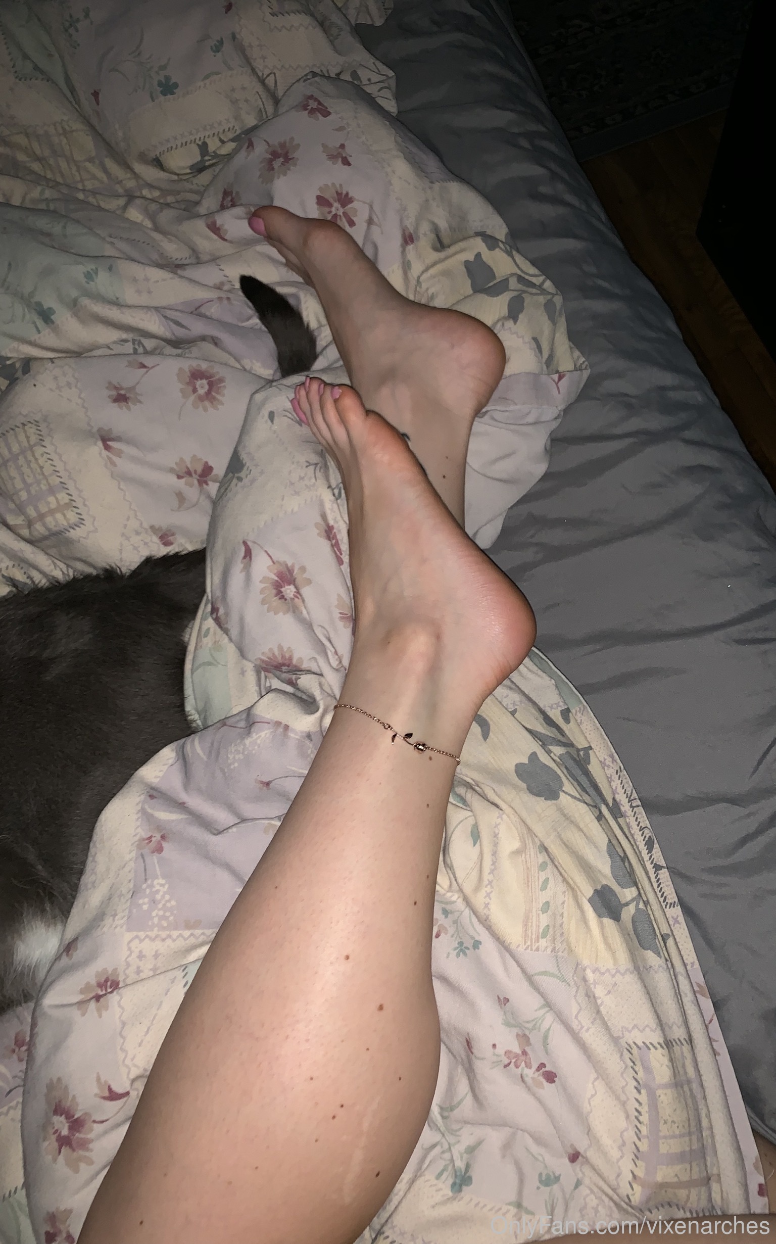 vixenarches feet photo 20