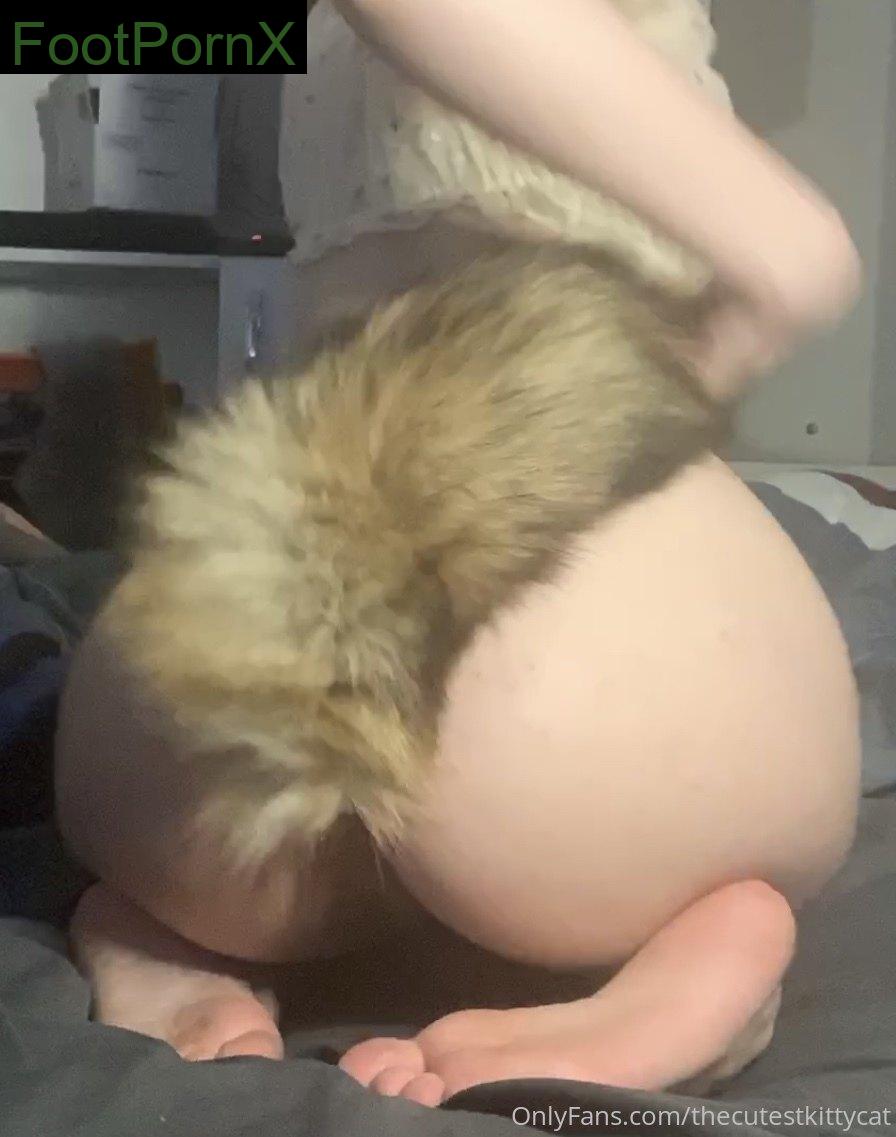 thecutestkittycat