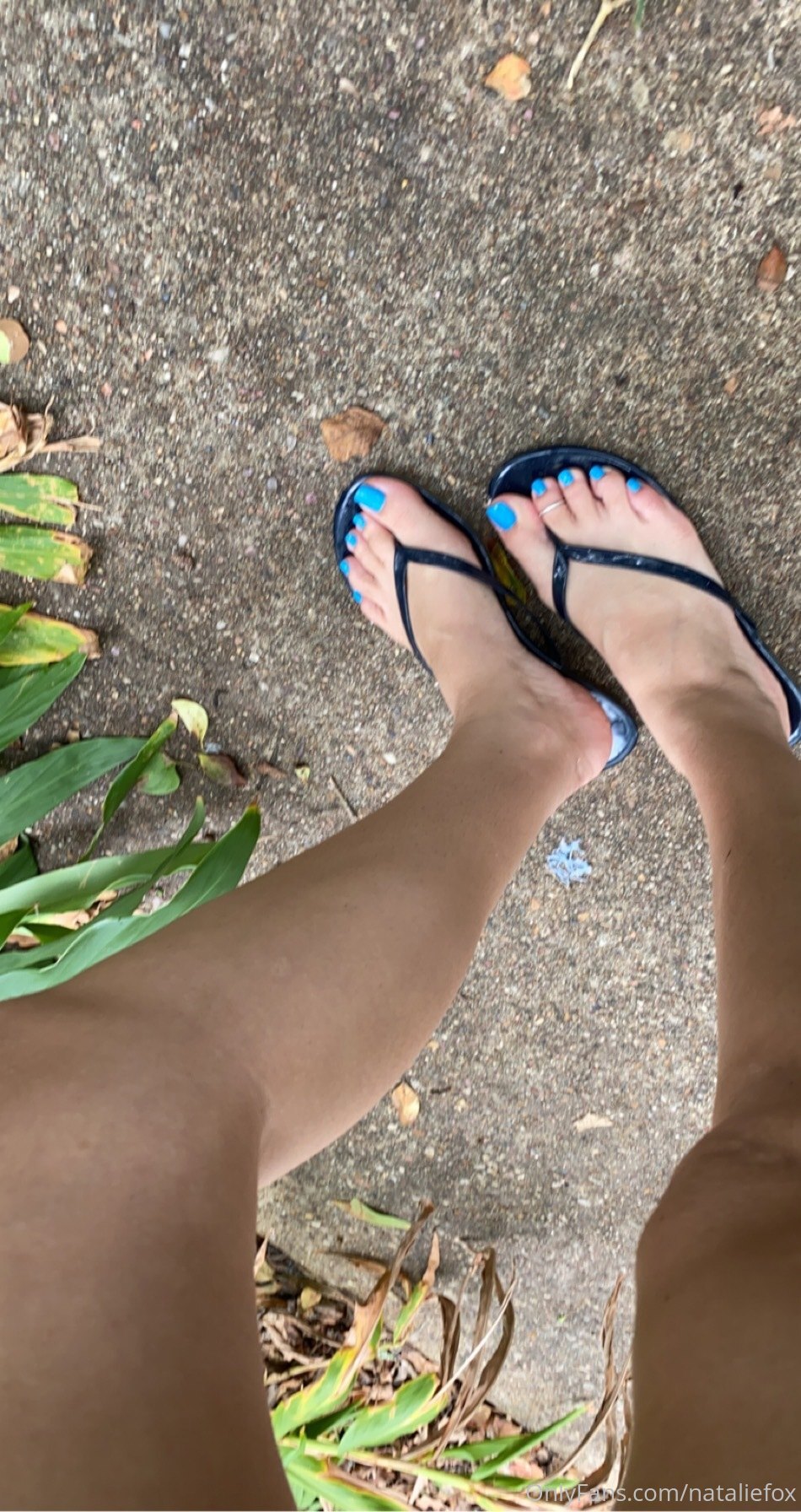 nataliefox feet photo 2