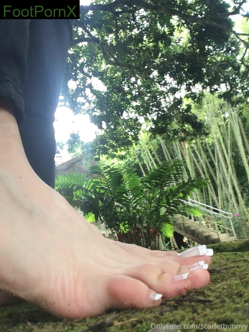 scarletbunnyy feet photo 3