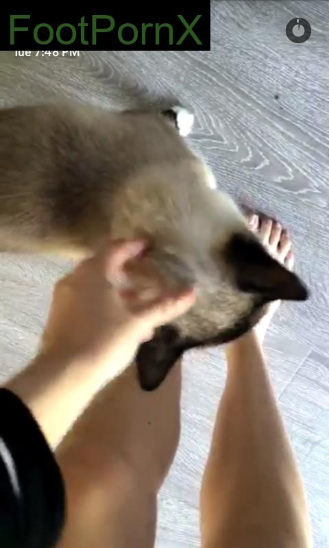 bella thorne feet photo 16